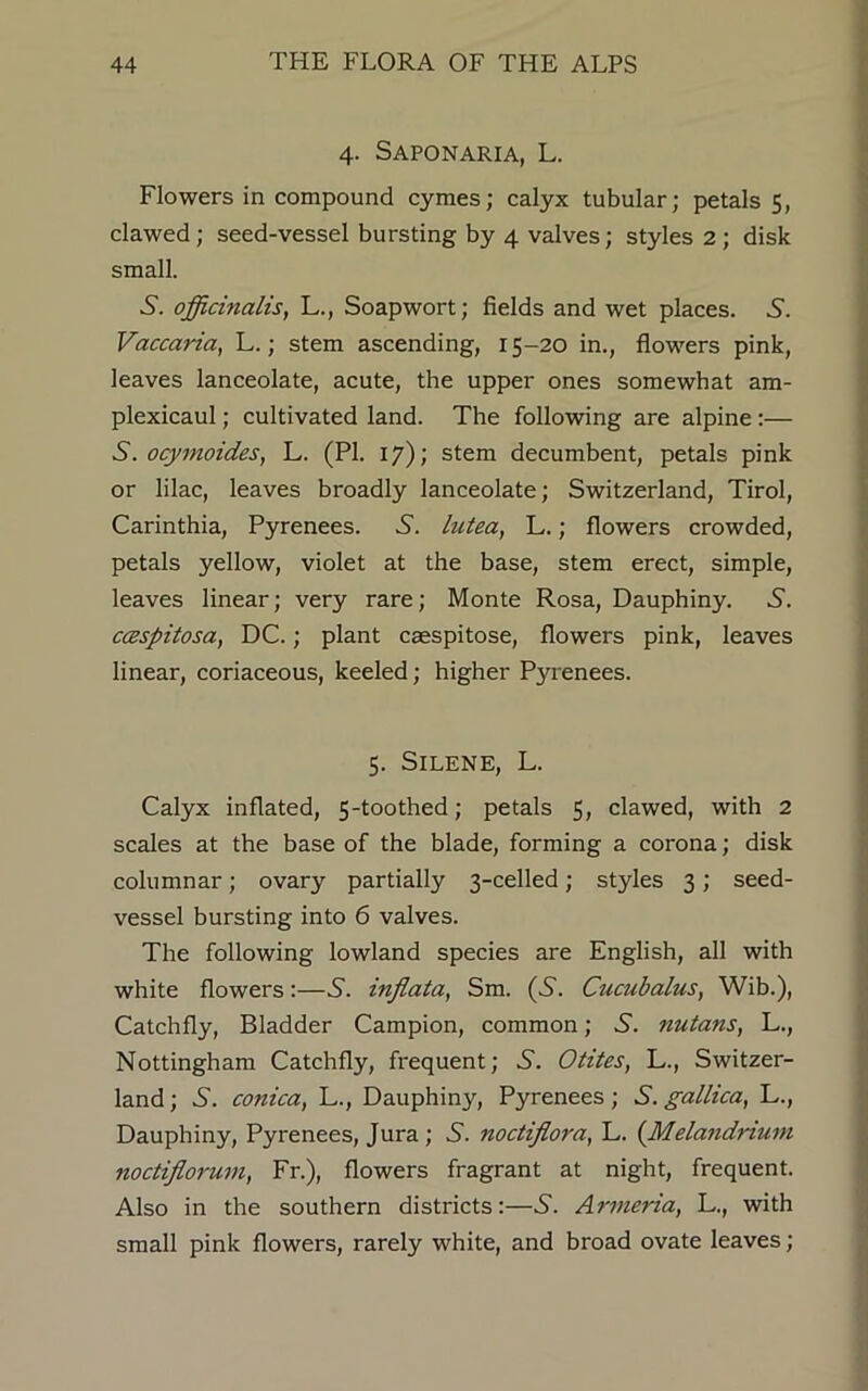 4. SAPONARIA, L. Flowers in compound cymes; calyx tubular; petals 5, clawed; seed-vessel bursting by 4 valves; styles 2; disk small. 5. officinalis, L., Soapwort; fields and wet places. S. Vaccaria, L.; stem ascending, 15-20 in., flowers pink, leaves lanceolate, acute, the upper ones somewhat am- plexicaul; cultivated land. The following are alpine :— S. ocymoides, L. (PI. 17); stem decumbent, petals pink or lilac, leaves broadly lanceolate; Switzerland, Tirol, Carinthia, Pyrenees. S. lutea, L.; flowers crowded, petals yellow, violet at the base, stem erect, simple, leaves linear; very rare; Monte Rosa, Dauphiny. 5. cczspitosa, DC.; plant caespitose, flowers pink, leaves linear, coriaceous, keeled; higher Pjuenees. 5. SlLENE, L. Calyx inflated, 5-toothed; petals 5, clawed, with 2 scales at the base of the blade, forming a corona; disk columnar; ovary partially 3-celled; styles 3; seed- vessel bursting into 6 valves. The following lowland species are English, all with white flowers:—5. inflata, Sm. (5. Cucubalus, Wib.), Catchfly, Bladder Campion, common; 5. nutans, L., Nottingham Catchfly, frequent; S. Otites, L., Switzer- land; 5. conica, L., Dauphiny, Pyrenees; S. gallica, L., Dauphiny, Pyrenees, Jura ; N. noctiflora, L. (Melandnum noctiflorum, Fr.), flowers fragrant at night, frequent. Also in the southern districts:—N. Armenia, L., with small pink flowers, rarely white, and broad ovate leaves;