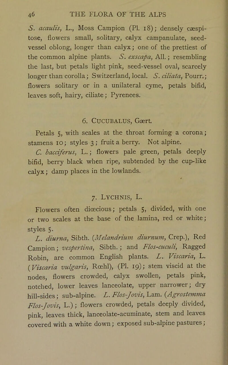 vS. acaulis, L., Moss Campion (PI. 18); densely csespi- tose, flowers small, solitary, calyx campanulate, seed- vessel oblong, longer than calyx; one of the prettiest of the common alpine plants. .S’, exscapa, All.; resembling the last, but petals light pink, seed-vessel oval, scarcely longer than corolla; Switzerland, local. S’, ciliata, Pourr.; flowers solitary or in a unilateral cyme, petals bifid, leaves soft, hairy, ciliate; Pyrenees. 6. CUCUBALUS, Gaert. Petals 5, with scales at the throat forming a corona; stamens io; styles 3 ; fruit a berry. Not alpine. C. bacciferus, L.; flowers pale green, petals deeply bifid, berry black when ripe, subtended by the cup-like calyx; damp places in the lowlands. 7. Lychnis, L. Flowers often dioecious; petals 5, divided, with one or two scales at the base of the lamina, red or white; styles 5- L. diurna, Sibth. (Melandrium diurnum, Crep.), Red Campion; vespertina, Sibth. ; and Flos-cuculi, Ragged Robin, are common English plants. L. Viscaria, L. (Viscaria vulgaris, Roehl), (PI. 19); stem viscid at the nodes, flowers crowded, calyx swollen, petals pink, notched, lower leaves lanceolate, upper narrower; dry hill-sides; sub-alpine. L. Flos-Jovis, Lam. (Agrostemma Flos-Jovis, L.) ; flowers crowded, petals deeply divided, pink, leaves thick, lanceolate-acuminate, stem and leaves covered with a white down ; exposed sub-alpine pastures;