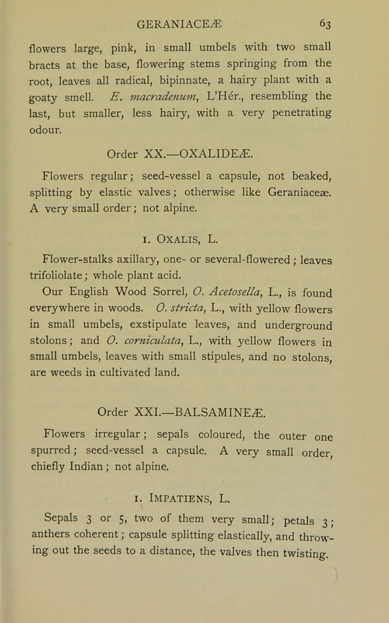 flowers large, pink, in small umbels with two small bracts at the base, flowering stems springing from the root, leaves all radical, bipinnate, a hairy plant with a goaty smell. E. macradenum, L’Her., resembling the last, but smaller, less hairy, with a very penetrating odour. Order XX.—OXALIDEvE. Flowers regular; seed-vessel a capsule, not beaked, splitting by elastic valves; otherwise like Geraniaceae. A very small order ; not alpine. 1. Oxalis, L. Flower-stalks axillary, one- or several-flowered; leaves trifoliolate; whole plant acid. Our English Wood Sorrel, O. Acetosella, L., is found everywhere in woods. 0. stricta, L., with yellow flowers in small umbels, exstipulate leaves, and underground stolons; and O. corniculata, L., with yellow flowers in small umbels, leaves with small stipules, and no stolons, are weeds in cultivated land. Order XXL—BALSAMINEjE. Flowers irregular; sepals coloured, the outer one spurred; seed-vessel a capsule. A very small order chiefly Indian ; not alpine. I. IMPATIENS, L. Sepals 3 or 5, two of them very small; petals 3; anthers coherent; capsule splitting elastically, and throw- ing out the seeds to a distance, the valves then twisting.