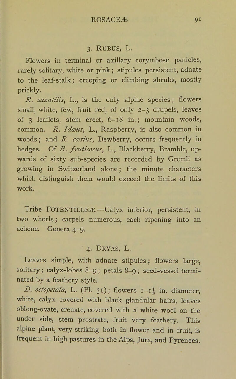 3. RUBUS, L. Flowers in terminal or axillary corymbose panicles, rarely solitary, white or pink; stipules persistent, adnate to the leaf-stalk; creeping or climbing shrubs, mostly prickly. R. saxatilis, L., is the only alpine species; flowers small, white, few, fruit red, of only 2-3 drupels, leaves of 3 leaflets, stem erect, 6-18 in.; mountain woods, common. R. Idcens, L., Raspberry, is also common in woods; and R. ccesius, Dewberry, occurs frequently in hedges. Of R. fruiicosus, L., Blackberry, Bramble, up- wards of sixty sub-species are recorded by Gremli as growing in Switzerland alone; the minute characters which distinguish them would exceed the limits of this work. Tribe POTENTILLE^E.—Calyx inferior, persistent, in two whorls; carpels numerous, each ripening into an achene. Genera 4-9. 4. DRYAS, L. Leaves simple, with adnate stipules; flowers large, solitary; calyx-lobes 8-9; petals 8-9 ; seed-vessel termi- nated by a feathery style. D. octopetala, L. (PI. 31); flowers i-i£ in. diameter, white, calyx covered with black glandular hairs, leaves oblong-ovate, crenate, covered with a white wool on the under side, stem prostrate, fruit very feathery. This alpine plant, very striking both in flower and in fruit, is frequent in high pastures in the Alps, Jura, and Pyrenees.