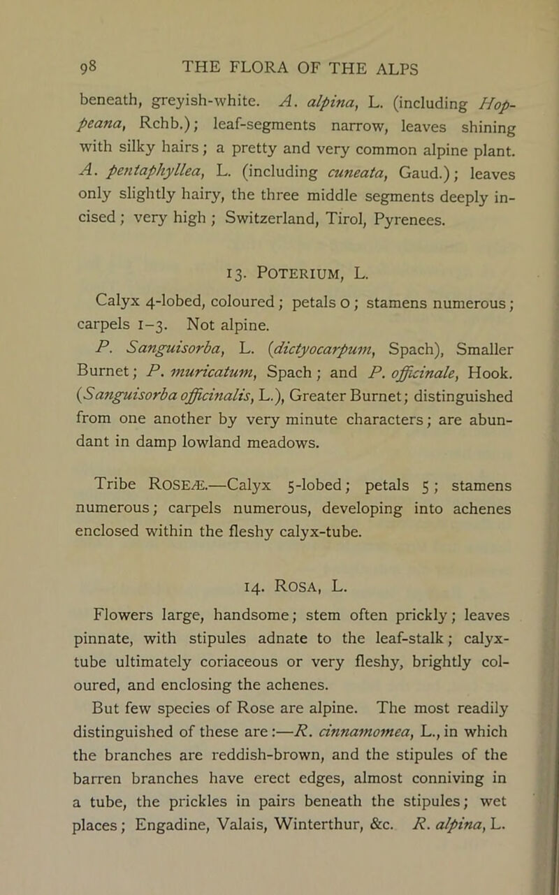 beneath, greyish-white. A. alpina, L. (including Hop- peana, Rchb.); leaf-segments narrow, leaves shining with silky hairs; a pretty and very common alpine plant. A. pentaphyllea, L. (including cuneata, Gaud.); leaves only slightly hairy, the three middle segments deeply in- cised ; very high ; Switzerland, Tirol, Pyrenees. 13. POTERIUM, L. Calyx 4-lobed, coloured; petals o; stamens numerous; carpels 1-3. Not alpine. P. Sanguisorba, L. (dictyocarpum, Spach), Smaller Burnet; P. muricatum, Spach ; and P. officinale, Hook. (Sanguisorba officinalis, L.), Greater Burnet; distinguished from one another by very minute characters; are abun- dant in damp lowland meadows. Tribe ROSEA.—Calyx 5-lobed; petals 5 ; stamens numerous; carpels numerous, developing into achenes enclosed within the fleshy calyx-tube. 14. Rosa, L. Flowers large, handsome; stem often prickly; leaves pinnate, with stipules adnate to the leaf-stalk; calyx- tube ultimately coriaceous or very fleshy, brightly col- oured, and enclosing the achenes. But few species of Rose are alpine. The most readily distinguished of these are:—R. cinnamomea, L., in which the branches are reddish-brown, and the stipules of the barren branches have erect edges, almost conniving in a tube, the prickles in pairs beneath the stipules; wet places; Engadine, Valais, Winterthur, &c. R. alpina, L.