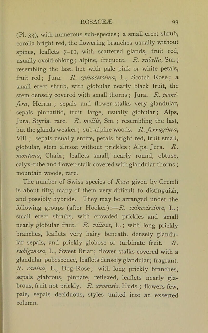 (PI. 33), with numerous sub-species; a small erect shrub, corolla bright red, the flowering branches usually without spines, leaflets 7-11, with scattered glands, fruit red, usually ovoid-oblong; alpine, frequent. R. rubella, Sm.; resembling the last, but with pale pink or white petals, fruit red; Jura. R. spinosissima, L., Scotch Rose; a small erect shrub, with globular nearly black fruit, the stem densely covered with small thorns ; Jura. R. porni- fera, Herrm.; sepals and flower-stalks very glandular, sepals pinnatifid, fruit large, usually globular; Alps, Jura, Styria, rare. R. mollis, Sm. ; resembling the last, but the glands weaker; sub-alpine woods. R. ferruginea, Vill.; sepals usually entire, petals bright red, fruit small, globular, stem almost without prickles; Alps, Jura. R. montana, Chaix; leaflets small, nearly round, obtuse, calyx-tube and flower-stalk covered with glandular thorns ; mountain woods, rare. The number of Swiss species of Rosa given by Gremli is about fifty, many of them very difficult to distinguish, and possibly hybrids. They may be arranged under the following groups (after Hooker):—R. spinosissima, L.; small erect shrubs, with crowded prickles and small nearly globular fruit. R. villosa, L.; with long prickly branches, leaflets very hairy beneath, densely glandu- lar sepals, and prickly globose or turbinate fruit. R. rubiginosa, L., Sweet Briar; flower-stalks covered with a glandular pubescence, leaflets densely glandular; fragrant. R. canma, L., Dog-Rose; with long prickly branches, sepals glabrous, pinnate, reflexed, leaflets nearly gla- brous, fruit not prickly. R. arvensis, Huds.; flowers few, pale, sepals deciduous, styles united into an exserted column.
