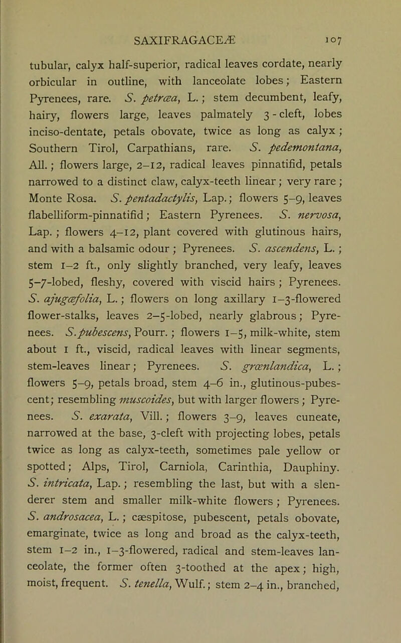 tubular, calyx half-superior, radical leaves cordate, nearly orbicular in outline, with lanceolate lobes; Eastern Pyrenees, rare. A. petraa, L.; stem decumbent, leafy, hairy, flowers large, leaves palmately 3 - cleft, lobes inciso-dentate, petals obovate, twice as long as calyx ; Southern Tirol, Carpathians, rare. 6. pedemontana, All.; flowers large, 2-12, radical leaves pinnatifid, petals narrowed to a distinct claw, calyx-teeth linear; very rare ; Monte Rosa. 6. pentadactylis, Lap.; flowers 5-9, leaves flabelliform-pinnatifid; Eastern Pyrenees. 6. nervosa, Lap. ; flowers 4-12, plant covered with glutinous hairs, and with a balsamic odour ; Pyrenees. A. ascendens, L.; stem 1-2 ft., only slightly branched, very leafy, leaves 5-7-lobed, fleshy, covered with viscid hairs ; Pyrenees. A. ajugcefolia, L.; flowers on long axillary 1-3-flowered flower-stalks, leaves 2-5-lobed, nearly glabrous; Pyre- nees. S.pubescens, Pourr.; flowers 1-5, milk-white, stem about 1 ft., viscid, radical leaves with linear segments, stem-leaves linear; Pyrenees. A. grcenlandica, L. ; flowers 5-9, petals broad, stem 4-6 in., glutinous-pubes- cent ; resembling inuscoides, but with larger flowers; Pyre- nees. A. exarata, Vill.; flowers 3-9, leaves cuneate, narrowed at the base, 3-cleft with projecting lobes, petals twice as long as calyx-teeth, sometimes pale yellow or spotted; Alps, Tirol, Carniola, Carinthia, Dauphiny. A. intricata, Lap.; resembling the last, but with a slen- derer stem and smaller milk-white flowers; Pyrenees. A. androsacea, L.; caespitose, pubescent, petals obovate, emarginate, twice as long and broad as the calyx-teeth, stem 1-2 in., 1-3-flowered, radical and stem-leaves lan- ceolate, the former often 3-toothed at the apex; high, moist, frequent. A. tenella, Wulf.; stem 2-4 in., branched,