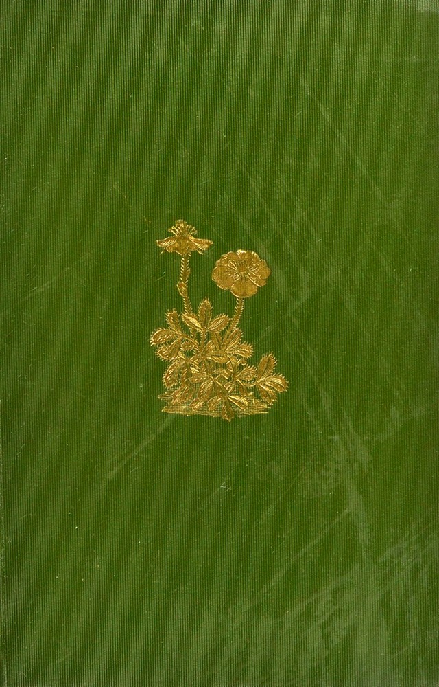 digitised image 1