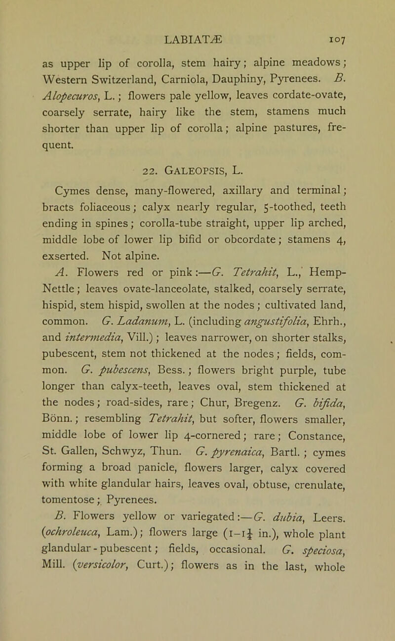 as upper lip of corolla, stem hairy; alpine meadows; Western Switzerland, Carniola, Dauphiny, Pyrenees. B. Alopecuros, L.; flowers pale yellow, leaves cordate-ovate, coarsely serrate, hairy like the stem, stamens much shorter than upper lip of corolla; alpine pastures, fre- quent. 22. GALEOP.SIS, L. Cymes dense, many-flowered, axillary and terminal; bracts foliaceous; calyx nearly regular, 5-toothed, teeth ending in spines; corolla-tube straight, upper lip arched, middle lobe of lower lip bifid or obcordate; stamens 4, exserted. Not alpine. A. Flowers red or pink:—G. Tetrahit, L., Hemp- Nettle ; leaves ovate-lanceolate, stalked, coarsely serrate, hispid, stem hispid, swollen at the nodes; cultivated land, common. G. Ladanum, L. (including angustifolia, Ehrh., and intermedia, Vill.); leaves narrower, on shorter stalks, pubescent, stem not thickened at the nodes; fields, com- mon. G. pubescens, Bess.; flowers bright purple, tube longer than calyx-teeth, leaves oval, stem thickened at the nodes; road-sides, rare; Chur, Bregenz. G. bifida, Bonn.; resembling Tetrahit, but softer, flowers smaller, middle lobe of lower lip 4-cornered; rare; Constance, St. Gallen, Schwyz, Thun. G. pyrenaica, Bartl. ; cymes forming a broad panicle, flowers larger, calyx covered with white glandular hairs, leaves oval, obtuse, crenulate, tomentose; Pyrenees. B. Flowers yellow or variegated:—G. dubia, Leers. {ochroleuca, Lam.); flowers large (i-ij in.), whole plant glandular - pubescent; fields, occasional. G. speciosa. Mill, {versicolor. Curt.); flowers as in the last, whole