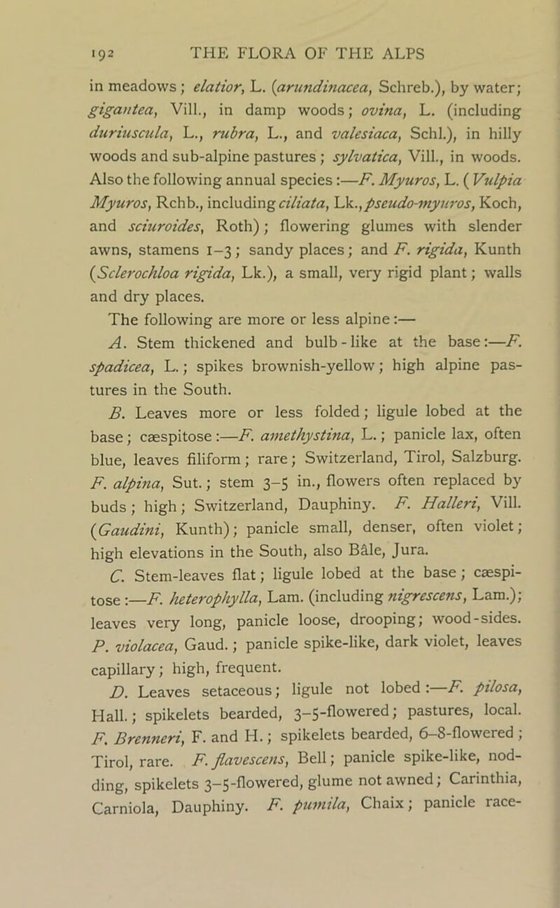 in meadows; elatior, L. {arundinacea, Schreb.), by water; gigautea, Vill., in damp woods; ovina, L. (including duriuscula, L., rubra, L., and valesiaca, Schl.), in hilly woods and sub-alpine pastures; sylvatica, Vill., in woods. Also the following annual species:—F. Myuros, L. ( Vulpia Myuros, Rchb., including a/fa/a, Lk.,pseudo-myuros, Koch, and sciuroides, Roth); flowering glumes with slender awns, stamens 1-3; sandy places; and F. rigida, Kunth {Sclerochloa rigida, Lk.), a small, very rigid plant; walls and dry places. The following are more or less alpine:— A. Stem thickened and bulb-like at the base:—F. spadicea, L.; spikes brownish-yellow; high alpine pas- tures in the South. B. Leaves more or less folded; ligule lobed at the base; caespitose:—F. aimthystina, L.; panicle lax, often blue, leaves filiform; rare; Switzerland, Tirol, Salzburg. F. alpina, Sut.; stem 3-5 in., flowers often replaced by buds; high; Switzerland, Dauphiny. F. Halleri, Vill. {Gaudini, Kunth); panicle small, denser, often violet; high elevations in the South, also Bale, Jura. C. Stem-leaves flat; ligule lobed at the base; caespi- tose :—F. heterophylla, Lam. (including nigrescens, Lam.); leaves very long, panicle loose, drooping; wood-sides. P. violacea. Gaud.; panicle spike-like, dark violet, leaves capillary; high, frequent. D. Leaves setaceous; ligule not lobed :—F. pilosa. Hall.; spikelets bearded, 3-5-flowered; pastures, local. F, Brenneri, F. and H.; spikelets bearded, 6-8-flowered ; Tirol, rare. F. jlavcsccns, Bell; panicle spike-like, nod- ding, spikelets 3-5-flowered, glume not awned; Carinthia, Carniola, Dauphiny. F. puintla, Chaix; panicle race-