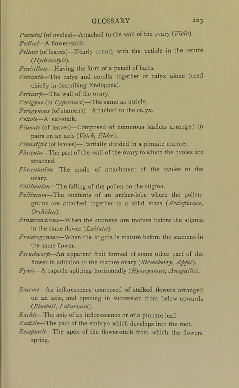 Parietal (of ovules)—Attached to the wall of the ovary {Viola). Pedicel—A flower-stalk. /’e/Za/e (of leaves)—Nearly round, with the petiole in the centre {Hydrocotyle). Penicillate—Having the form of a pencil of hairs. Perianth—calyx and corolla together or calyx alone (used chiefly in describing Endogens). Pericarp—The wall of the ovary. Perigyne (in Cyperacece)—The same as utricle. Perigynous (of stamens)—Attached to the calyx. Petiole—A leaf-stalk. Pinnate (of leaves)—Composed of numerous leaflets arranged in pairs on an axis {Vetch, Elder). Pinnatifid (of leaves)—Partially divided in a pinnate manner. Placenta—part of the wall of the ovary to which the ovules are attached. Placentation—The mode of attachment of the ovules to the ovary. Pollination—The falling of the pollen on the stigma. Pollinium—The contents of an anther-lobe where the pollen- grains are attached together in a solid mass {Asclepiadece, Orchidece). Proterandrous—When the stamens are mature before the stigma in the same flower {Labiatce). Proterogynous—When the stigma is mature before the stamens in the same flower. Pseudocarp—An apparent fruit formed of some other part of the flower in addition to the mature ovary {Strawberry, Apple). Pyxis—A capsule splitting horizontally {Hyoscyamus, Anagallis). Raceme—An inflorescence composed of stalked flowers arranged on an axis, and opening in succession from below upwards {Bluebell, Laburnum). Rachis—The axis of an inflorescence or of a pinnate leaf. Radicle—The part of the embryo which develops into the root. Receptacle—The apex of the flower-stalk from which the flowers spring.