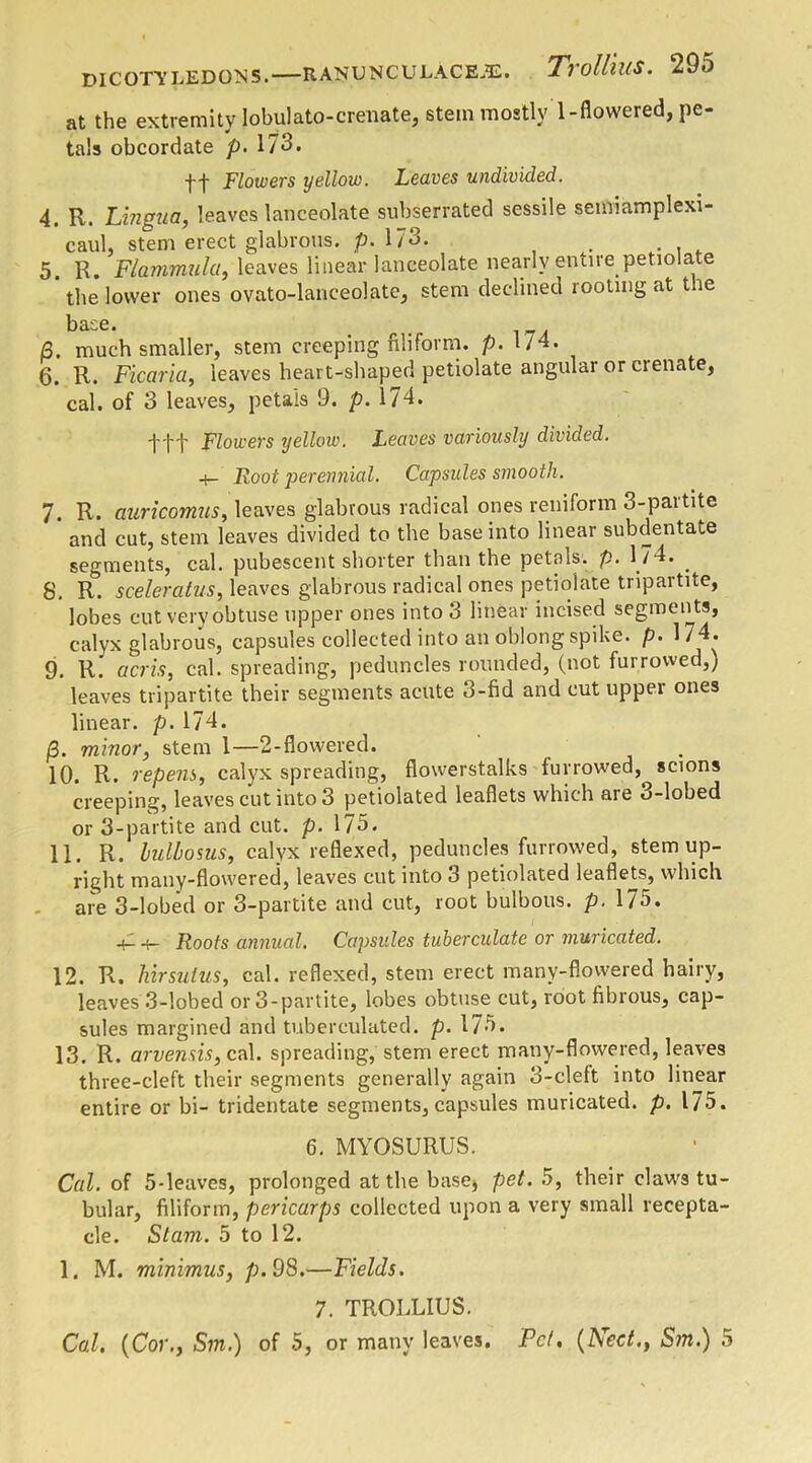 DICOTYLEDONS. RANUNCULACEJE. TvolllUS. 295 at the extremity Iobulato-crenate, stem mostly 1-flowered, pe- tals obcordate p. 173. ft Flowers yellow. Leaves undivided. 4. R. Lingua, leaves lanceolate subserrated sessile semiamplexi- caul, stem erect glabrous, p. 173. 5. R. Flammula, leaves linear lanceolate nearly entire petiolate * the lower ones ovato-lanceolate, stem declined rooting at the base. „ . R, much smaller, stem creeping filiform, p. 1/4. 6. R. Ficaria, leaves heart-shaped petiolate angular or crenate, cal. of 3 leaves, petals 9. p. 174* tft Flowers yellow. Leaves variously divided. +- Fool perennial. Capsules smooth. 7. R. auricomus, leaves glabrous radical ones reniform 3-partite and cut, stem leaves divided to the base into linear subdentate segments, cal. pubescent shorter than the petals, p. 174. _ 8. R. sceleratus, leaves glabrous radical ones petiolate tripartite, lobes cut very obtuse upper ones into 3 linear incised segments, calyx glabrous, capsules collected into an oblong spike, p. 174. 9. \i. acris, cal. spreading, peduncles rounded, (not furrowed,) leaves tripartite their segments acute 3-fid and cut upper ones linear, p. 174. ft. minor, stem 1—2-flowered. 10. R. repens, calyx spreading, flowerstalks furrowed,, scions creeping, leaves cut into 3 petiolated leaflets which are 3-lobed or 3-partite and cut. p. 175. 11. R. lulbosus, calyx reflexed, peduncles furrowed, stem up- right many-flowered, leaves cut into 3 petiolated leaflets, which are 3-lobed or 3-partite and cut, root bulbous, p. 175. +1 -t- Roots annual. Capsules tuberculatc or muricated. 12. R. hirsulus, cal. reflexed, stem erect many-flowered hairy, leaves 3-lobed or 3-partite, lobes obtuse cut, root fibrous, cap- sules margined and tuberculated. p. 175. 13. R. arvensis, cal. spreading, stem erect many-flowered, leaves three-cleft their segments generally again 3-cleft into linear entire or bi- tridentate segments, capsules muricated. p. 175. 6. MYOSURUS. Cal. of 5-leaves, prolonged at the base, pet. 5, their claws tu- bular, filiform, pericarps collected upon a very small recepta- cle. Stam. 5 to 12. 1. M. minimus, p. 98.—Fields. 7. TROLLIUS.