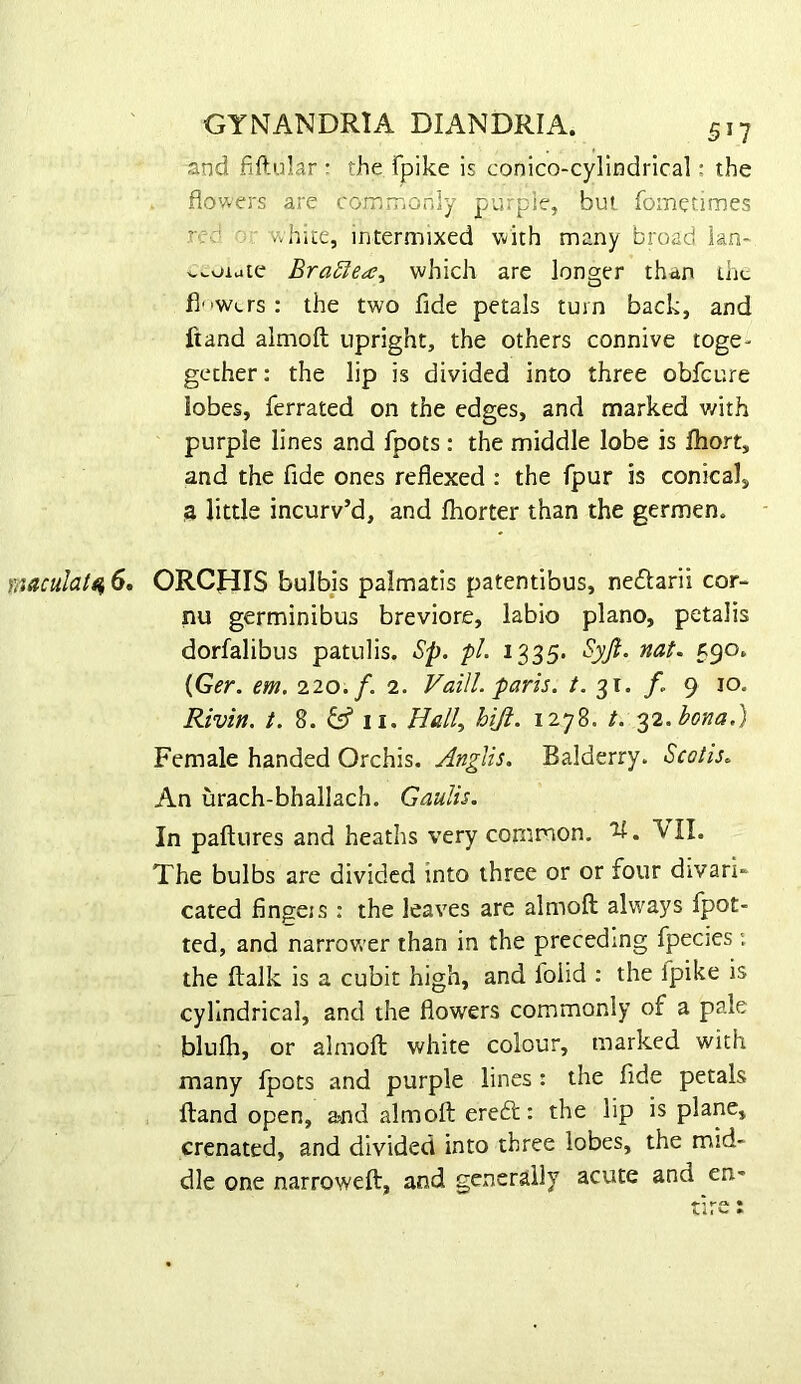 and fiftular r the fpike is conico-cyllndrical: the flowers are comir.only purple, but fometimes red or white, intermixed with many broad ian- ^^oiute Bra£lea^ which are longer than the fi-'Wers: the two fide petals turn back, and fiand almoft upright, the others connive toge- gecher: the lip is divided into three obfeure lobes, ferrated on the edges, and marked v/ith purple lines and fpots : the middle lobe is fhort, and the fide ones reflexed : the fpur is conical, 3 little incurv’d, and fliorter than the germen. maculate 6, ORCHIS bulbis palmatis patentibus, neftarii cor- nu germinibus breviore, labio piano, petalis dorfalibus patulis. Sp. pi. 1335. Syfi. nat. 590. (Ger. em. 220./. 2. Vaill. paris. t. 31. f. 9 10. Rivin. t. 8. ^ ii. Uall^ hiji. 1278. t. ^2.bona.) Female handed Orchis. Anglis. Balderry. Scotis. An urach-bhallach. Gaulis. In paftures and heaths very common. 'U, VII. The bulbs are divided into three or or four divari- cated fingeis : the leaves are almoft always fpot- ted, and narrower than in the preceding fpecies: the ftalk is a cubit high, and foiid : the Ipike is cylindrical, and the flowers commonly of a pale blufli, or almoft white colour, marked with many fpots and purple lines : the fide petals ftand open, a^nd almoft eredt: the lip is plane, crenated, and divided into three lobes, the mid- dle one narroweft, and generally acute and en-