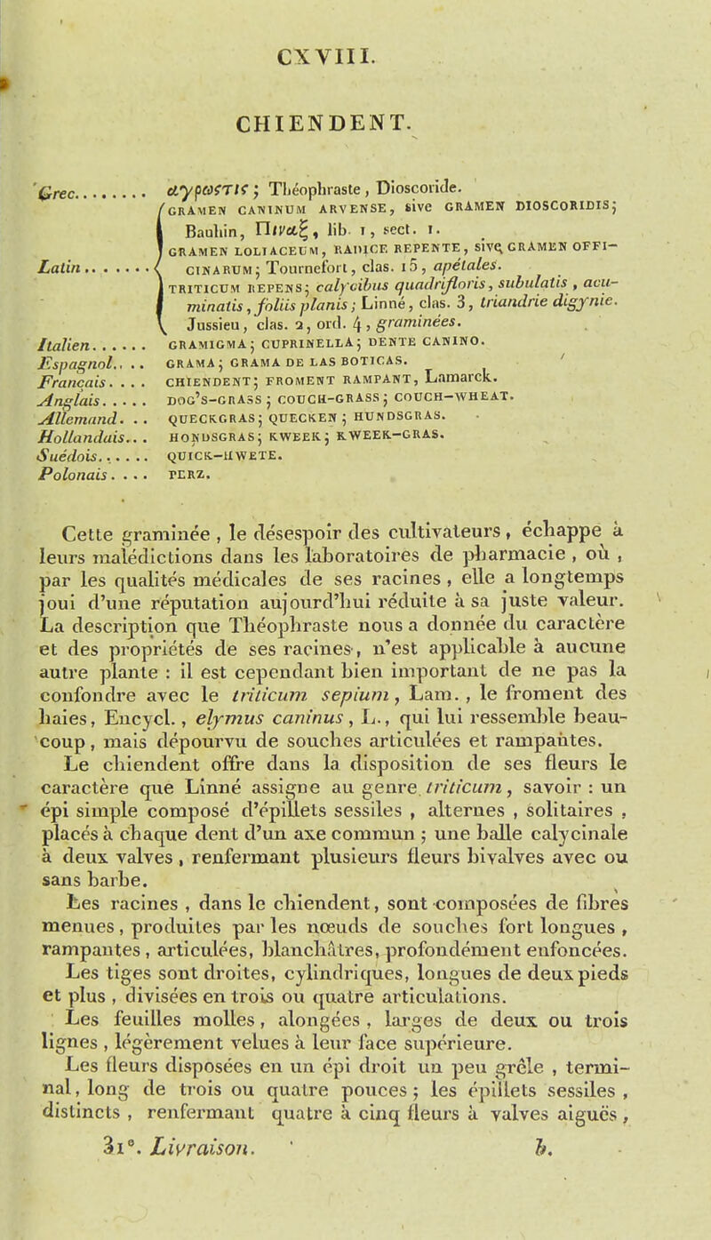 CXVIII. CHIENDENT. '^rec etypafTtf; TIjeophraste, Dioscoiide. iGRAMEN CAWINUM ARVENSE, sivC GRAMEN DIOSCORIDIS; Bauhin, UlVA^^ lib. i, sect. i. GRAMEK LOLIACEtiM, RADICE REPENTE , SIV^ GRAMEN OFFI- ciNARUM; Tournel'oi t, clas. 15 , apelales. TRiTicUM 11EPEMS5 calycihus quadnfloris, subulatis , acu- minatis, foliis planis; Linne, clas. 3, Iriandrie digfnie. Jussieu, clas. 2, 01(1. 4 , S'ramiwees. Jtalien gramigmaj cuprinellA; dente canino. Espagnol.,.. grama ; grama DE LAS BOTICAS. ' Francais. . . . chiendekt; froment rampant, Lamarck. Anglais dog's-grass J COUCli-GRASS J COUCH-WHEAT. Allemand. .. (^ueckgrasj qdecken ^ hundsgras. HoUandais... hokusgras; kweeicj kweek.-gras. Suedois...... QUICK.-11WEXE. Polonais.... perz. Cette graminee , le clesespoir des ciiltivaleurs, echappe a leurs raaledlctions clans les laboratoires cle pliarmacie , ou , par les qualites medicales de ses racines , elle a longtemps joui d'une reputation aujourd'liui reduite a sa juste valeur. La description que Tlieoplirasle nous a donnee du caractere et des proprietes de ses racines, n'est applicable a aucune autre plante : il est cependant bien important de ne pas la confondre avec le trilicum sepium, Lam., le froment des liaies, Encycl., elymus caninus, L., qui lul ressenible beau- coup, mais depourvu de souches articulees et rampaiites. Le cbiendent offre dans la disposition de ses fleurs le caractere que Linne assigne au genre trilicum, savoir : un epi simple compose d'epillets sessiles , alterues , solitaires , places a cbaque dent d'un axe commun ; une balle calycinale a deux valres , renfermant plusieurs fleurs bivalves avec ou sans barbe. Les racines , dans le cbiendent, sent composees de fibres menues , produiles par les noeuds de soucbes fort longues , rampautes, articulees, blancMtres, profondement enfoncees. Les tiges sont droites, cylindriques, longues de deuxpieds et plus , divisees en trois ou quatre articulations. Les feullles molles, alongees , larges de deux ou trois lignes , legerement velues a leur face superleure. Les fleurs disposees en un epi droit un peu grele , termi- nal, long de trois ou quatre pouces ; les eplilets sessiles, distincts , renfei-maut quatre a cinq fleurs a valves aigucs , ^1°. LWraison.  &.