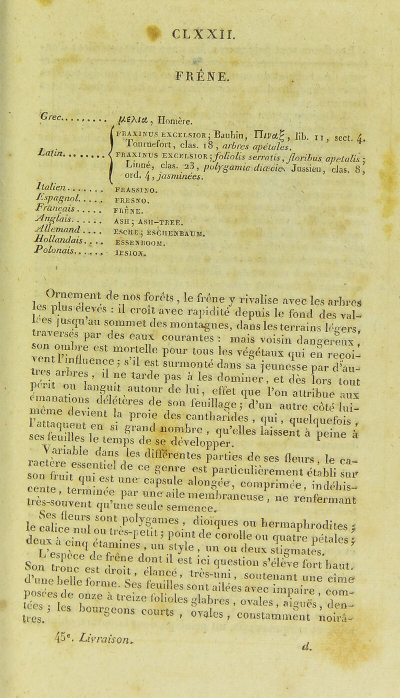 ^ CLXxtr. FRENE. ^'■^^ ^fA/a , Homere. [fhaxikus excelsior; Baiihin, UlVct^, Jib. ir, sect. 4. . I ^ o^^raf.lovt, chs. iS, nrbrcs apeudcs. ^^^ ^ FHAXINUS i^xcELSioK ■,foliolisserraUs,/loribus apelalis.i I Lirine, clas. 23, pofygamie dicEcie. Jussieu, das. 8, Old. ii,jasrmnees. ilalien. 'feassiko. ' , fLspagnol. FRESKO. Fraiicais fuene. ■^pglais ASH; ash-tkee. AUemand esche ; eschenbaum. Ji-oUandais., .. essewhoom. Polonais lEsioiv. Or enient de laos for6ts , le frene y rivalise avec les arhres es plus eleves : il croit avec rapidile depuis le fond des val- .■es jusqu au sommet des montagnes, daus les terrains l^cers, traverses par des eaux courantes : mais voisin dan.ereux on o™We est mortelle pour tons les vegetaux qui eS eeoil vent 1 uifiuence , s'd est sunnon te dans sa jeunesse par d'au- fZL7. '^f'^''^^^;' effet que I'on atlribue aux SneZlenff' '^^^^' '^'^ ^^re cote lui- meme devient la proie des canlliarides , qui, quelnuefois ; 'r'-ir'r sombre , qu'elles kissel f einTk. ses end les le temps de se developper. ^ racTiets'enUd d'^ ^^''''^ P^''^''^'^ ' ca- son frm-r J '''' ^^^ '^ particulierement etabli sur cente 'P^^ comprimee, indebi ! iXlouZT -r -l-—hraneuse, ne renfe ^^ant ircs-souvent qu'une seule senience. le caLp n1 '^^P°'yS^'e« ' dioiques ou hernaapbrodites ; e cahce _nul ou ires-pent; point de ?orolle ou quatro Zue, ' V^^^^''; ^ry^^ I - sii^nL^t^ d^n.e belle ?rrmrs;/i T' ^^^'^enant une eime ueuc lorme. J>es feudles sent a lees avec immM./:. jces, les bourgeons courts , ovales , couslam„,e,« ioir. 45Liyraison, ,