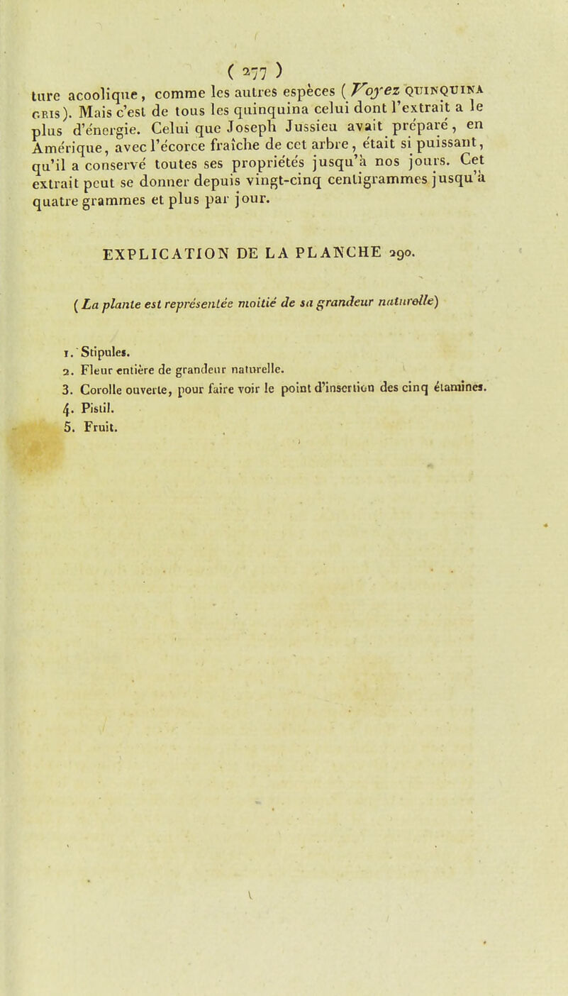 ( ^77 ) tare acoolique, comme les aulres especes ( Vvjrez quinquina oris). Mais c'esl de tous les quinquina celui dont l'extrait a le plus d'energie. Celui que Joseph Jussieu avait prepare, en Amerique, avecl'e'corce fraiche de cct arbre, e'tait si puissant, qu'il a conserve toutes ses proprie'te's jusqu'a nos jours. Cet extrait pcut se donner depuis vingt-cinq centigrammes jusqu'a quatre grammes et plus par jour. EXPLICATION DE LA PLANCHE 290. (La plante est representee moitie de sa grandeur natnrelle) 1. Stipule*. 2. Fleur entiere de grandeur naiurelle. 3. Corolle ouveile, pour faire voir le point d'inscrtion des cinq etamines. 4. Pistil. 5. Fruit. V