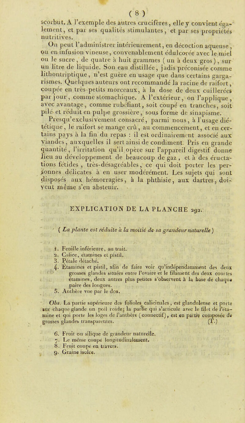 scorbut. A l'cxcmple tics autrcs cruciferes, elley convient ega- lement, ct pat ses qualiles stimulantes, et par ses proprictes, nutritives. On peut l'adm'inigtreii; intericurement, en decoction aqueuse, ou en infusion vineuse, convenablement eduJcoree avcc le miel ou le sucre, de quatte a huit grammes ( un a deux gros), sur un litre de liquide. Son eau distillee, jadis pre'conise'e commc lilhontriptique , n'est guere en usage que dans certains garga- rismes. Quelques auteurs ont rccommande la racine de raifort, coupe'e en tres-pelits morceaux, a la dose de deux cuillerccs par jour , comme slomachique. A l'exterieur, on l'applique , avec a vantage, comme rubefiant, soit coupe' en tranches, soit pile et reduit en pulpe grossiere, sous forme de sinapisme. Presqu'exclusivement consacre, parmi nous, al'usagedie- te'tique , le raifort se mange cru, au commencement, et en cer- tains pays a la fin du repas : il est ordinairemcnt associe aux viandes , auxquelles il sert ainsi de condiment. Pris en grande quantite, l'irritation qu'il opere sur l'appareil digestif donne lieu au developpement de beaucoup de gaz , el a dcs eructa- tions fetides , tres-desagreables, ce qui doit porter les per- sonnes dedicates a en user moderement. Les sujets qui sont dispose's aux hemorragies, a la phthisie, aux dartres, doi- vcnl merne s'en abslenir. EXPLICATION DE LA PLANCHE 392. • ( La planle est reduite a la moitie de sa grandeur nalurelle) 1. Feuille inferieure, au trait. 2. Cilice, e'tamines et pistil. 3. Petale detache. 4- Etainines el pistil, aGh rle faire voir qn'independamment des deux grosses glandes situecs entre l'ovaire et le filament des deux courtes etammes, deux antics plus petites s'observent a la base de chaqus paire des longues. 5. Antliere vue par le dos. Obs. La partie superieure des folioles calininalcs, est glandulense et porle sur chaquc glande un poil roide; la partie qui s'articule avec le fil<?t de J'eta- mine el qui porte les loges de 1'anihere (Gonueciif), est en partie composee de grosses glandes transparentes. (T.) 6. Fruit on siliquc de grandeur nalnrellc. 7. Le meme coupe longiiudinaleoient. 8. Fruit coupe en travcis. 9. Grains isoice.