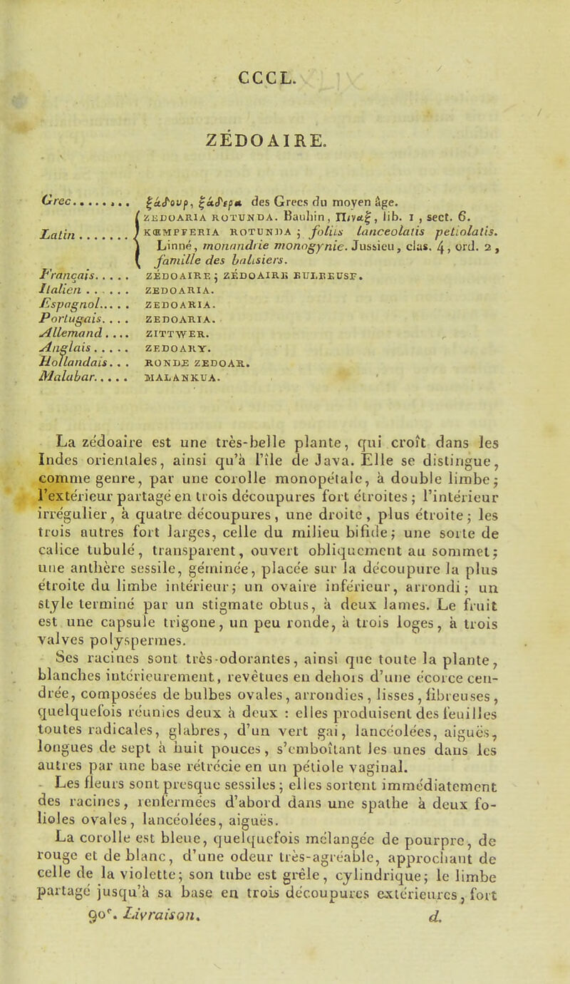 CCCL. ZEDOAIRE. / Grec f-ctfovfi, ijctPtp* des Grecs du moyen age. iZEDOARIA rotunda. Bauliin, n/v«t£, lib. i , sect. 6. kempferia rotunda j folks lanceolalis petiolatis. Linne, monundiie monagynie. Jussieu, das. 4, or J. 2 , famille des buLsiers. Francais zedoaire; zedoairk kueiseusf. Italien zedoaria. fispagnol zedoaria. Porlugais. . . . zedoaria. Allemand.... zittwer. Anglais zedoary. Hollandais.. . ronde zedoar. Malabar malankua. La ze'doaire est une tres-belle plante, qui croft dans les Indes orienlales, ainsi qu'a file de Java. Elle se distingue, comme genre, par une corolle monopetale, a double limbe $ i'exte'rieur partage en liois decoupures fort e'lroites ; l'interieur irre'gulier, a qualre decoupures, une droite, plus etroite; les trois autres fort larges, celle du milieu bifide; une sorte de calice tubule, transparent, ouvert obliqucment au sommel; une anlherc sessile, ge'rninee, place'e sur la de'eoupure la plus etroite du limbe interieur; un ovaire infericur, arrondi; un style terminc par un stigmate obtus, a deux lames. Le fruit est une capsule trigone, un peu ronde, a trois loges, a trois valves polyspermes. Ses racines sont tres-odorantes, ainsi que toute la plante, blanches intcrieurement, revetues en dehors d'une e'eorce cen- ee, compose'es de bulbes ovales, arrondies, lisses, fibreuses, quelquefois reunics deux a deux : elles produisenl des feuilles toutes l-adicales, glabres, d'un vert gai, lanceolees, aigues, longues de sept a huit pouces, s'cmboilant Jes unes dans les autres par une base retrecie en un petiole vaginal. Les fleurs sont presque sessiles ; elles sortent immediatement des racines, renfermees d'abord dans une spalhe a deux fo- lioles ovales, lanceolees, aigues. La corolle est bleue, quelquefois mclange'e de pourpre, de rouge et deblanc, d'une odeur tres-agreable, approchant de celle de la violette; son tube est grele, cylindrique; le limbe partage jusqu'a sa base en trois decoupures exterieurcs, fort 90°. Liyraison. d.