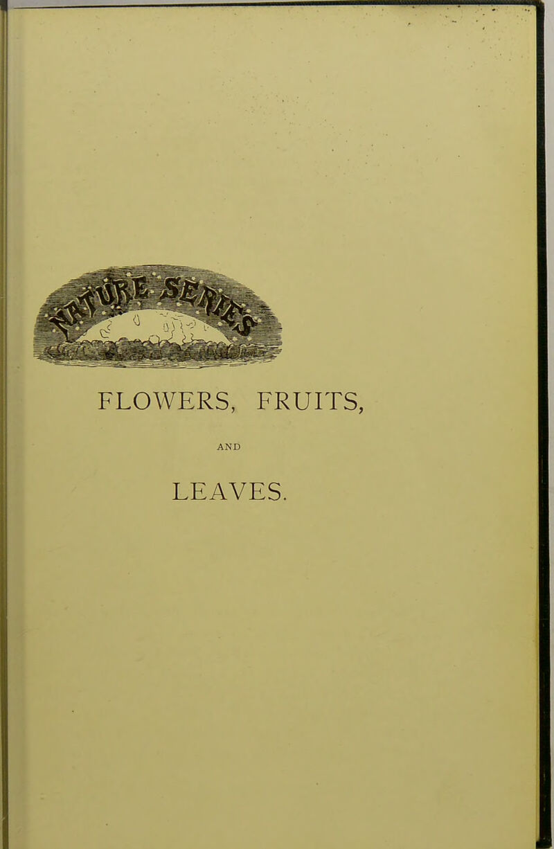 FLOWERS, FRUITS, AND LEAVES.