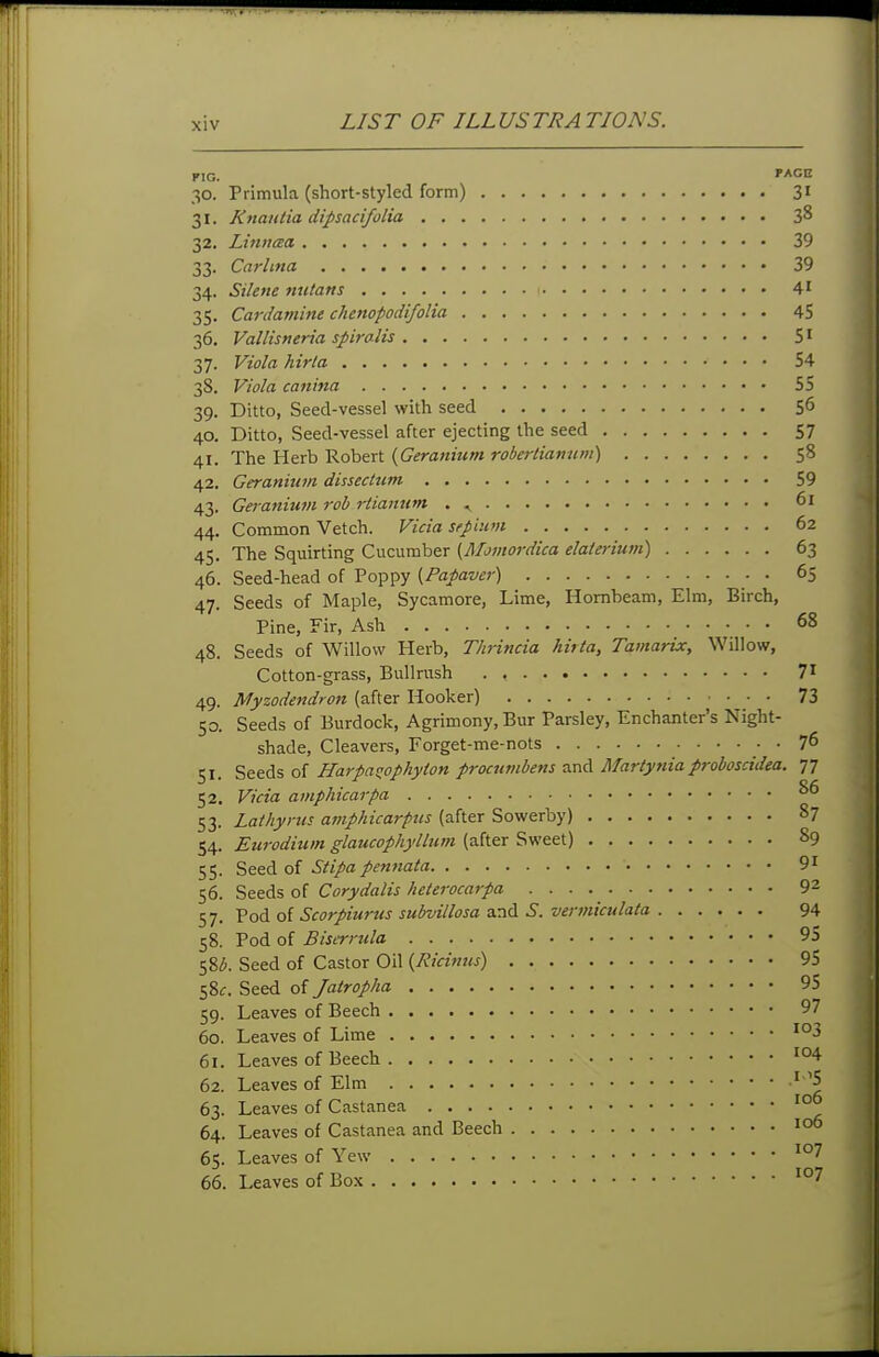 PIG. 'ACE 30. Primula (short-styled form) 31 31. Knautia dipsacifolia 3^ 32. Linncca 39 33. Carlina 39 34. Silene mitans 41 35. Cardamine chmopodifolia 45 36. Vallisneria spiralis 5' 37. Viola hirla 54 38. Viola canina 55 39. Ditto, Seed-vessel with seed 5^ 40. Ditto, Seed-vessel after ejecting the seed 57 41. The Herb Robert {Geranium roberliamim) 58 42. Geraniutn dissecttim 59 43. Gaaniuiii rob rtiaimm . ^ 61 44. Common Vetch. Vicia sepiiuii 62 45. The Squirting Cucumber [Momordica elaterium) 63 46. Seed-head of Poppy [Papaver) 65 47. Seeds of Maple, Sycamore, Lime, Hornbeam, Elm, Birch, Pine, Fir, Ash 68 48. Seeds of Willow Herb, Thrincia hirta, Tatnarix, Willow, Cotton-grass, Bullrush 71 49. Myzodendron (after Hooker) 73 50. Seeds of Burdock, Agrimony, Bur Parsley, Enchanter's Night- shade, Cleavers, Forget-me-nots • 76 51. Seeds of Harpaoophyion procumbens and Martyniaproboscidea. 77 52. Vicia amphicarpa ^6 53. Lathyrus amphicarpiis (after Sowerby) 87 54. Eurodium glaucophylbim (after Sweet) S9 55. Seed of Stipa pennata 91 56. Seeds of Corydalis heterocarpa 9~ 57. Vodi Scorpiurus subvillosa 2i7iA S. vertniculata 94 58. Pod of Biserrula 95 58^. Seed of Castor Oil {Ricinns) 95 l%c. Seed of Jatropha 95 59. Leaves of Beech 97 60. Leaves of Lime 61. Leaves of Beech 62. Leaves of Elm '^5 63. Leaves of Castanea 64. Leaves of Castanea and Beech 1°° 65. Leaves of Yew 66. Leaves of Box