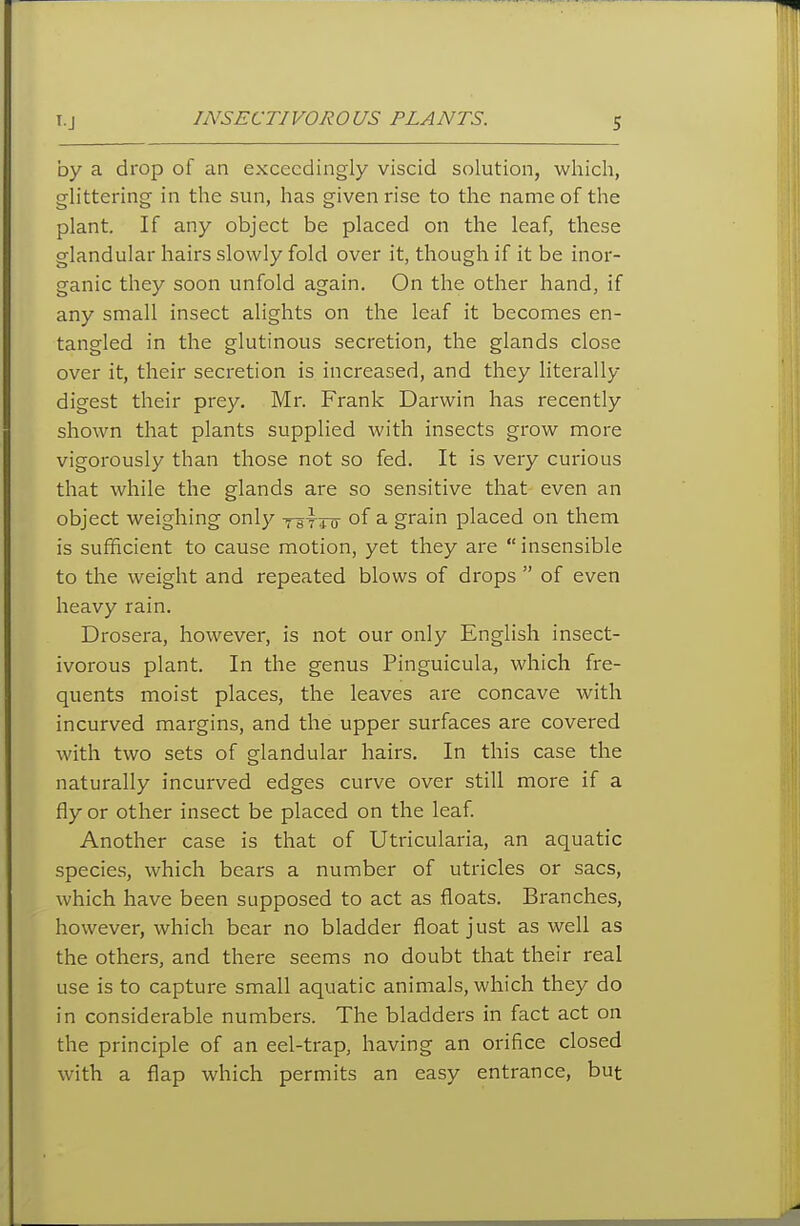 by a drop of an exceedingly viscid solution, which, glittering in the sun, has given rise to the name of the plant. If any object be placed on the leaf, these glandular hairs slowly fold over it, though if it be inor- ganic they soon unfold again. On the other hand, if any small insect alights on the leaf it becomes en- tangled in the glutinous secretion, the glands close over it, their secretion is increased, and they literally digest their prey. Mr. Frank Darwin has recently shown that plants supplied with insects grow more vigorously than those not so fed. It is very curious that while the glands are so sensitive that even an object weighing only TaTro of a grain placed on them is sufficient to cause motion, yet they are  insensible to the weight and repeated blows of drops  of even heavy rain. Drosera, however, is not our only English insect- ivorous plant. In the genus Pinguicula, which fre- quents moist places, the leaves are concave with incurved margins, and the upper surfaces are covered with two sets of glandular hairs. In this case the naturally incurved edges curve over still more if a fly or other insect be placed on the leaf. Another case is that of Utricularia, an aquatic species, which bears a number of utricles or sacs, which have been supposed to act as floats. Branches, however, which bear no bladder float just as well as the others, and there seems no doubt that their real use is to capture small aquatic animals, which they do in considerable numbers. The bladders in fact act on the principle of an eel-trap, having an orifice closed with a flap which permits an easy entrance, but