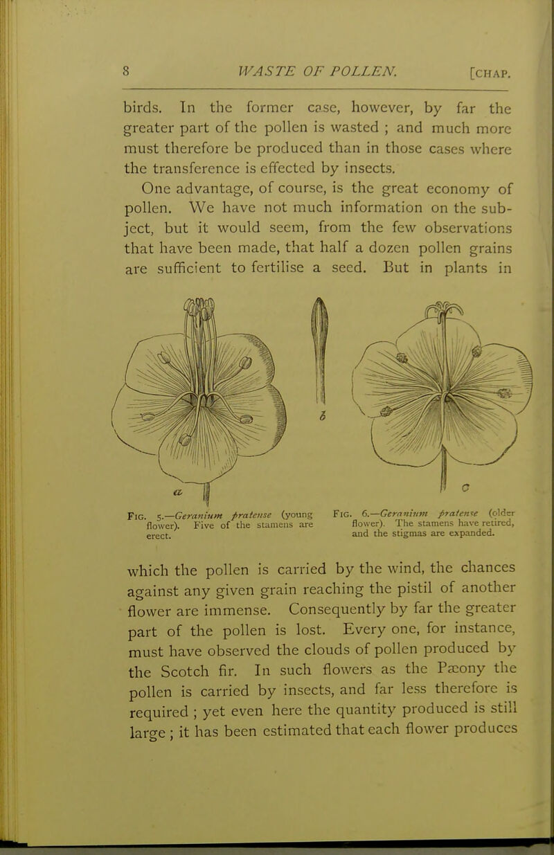 birds. In the former case, however, by far the greater part of the pollen is wasted ; and much more must therefore be produced than in those cases where the transference is effected by insects. One advantage, of course, is the great economy of pollen. We have not much information on the sub- ject, but it would seem, from the few observations that have been made, that half a dozen pollen grains are sufficient to fertilise a seed. But in plants in PiQ_ ^—Geranium fratcnse (young Fig. (>.—Gernnium fraien^e (older flower). Five of the stamens are flower). The stamens have retired, erect, and the stigmas are expanded. which the pollen is carried by the wind, the chances against any given grain reaching the pistil of another flower are immense. Consequently by far the greater part of the pollen is lost. Every one, for instance, must have observed the clouds of pollen produced by the Scotch fir. In such flowers as the Pscony the pollen is carried by insects, and far less therefore is required ; yet even here the quantity produced is still large ; it has been estimated that each flower produces