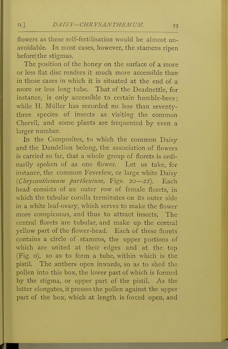 flowers as these self-fertilisation would be almost un- avoidable. In most cases, however, the stamens ripen before|the stigmas. The position of the honey on the surface of a more or less flat disc renders it much more accessible than in those cases in which it is situated at the end of a more or less long tube. That of the Deadnettle, for instance, is only accessible to certain humble-bees; while H. Miiller has recorded no less than seventy- three species of insects as visiting the common Chervil, and some plants are frequented by even a larger number. In the Composites, to which the common Daisy and the Dandelion belong, the association of flowers is carried so far, that a whole group of florets is ordi- narily spoken of as one flower. Let us take, for instance, the common Feverfew, or large white Daisy {CJirysantJiemum parthenium, Figs. 20—22). Each head consists of an outer row of female florets, in which the tubular corolla terminates on its outer side in a white leaf-ovary, which serves to make the flower more conspicuous, and thus to attract insects. The central florets are tubular, and make up the central yellow part of the flower-head. Each of these florets contains a circle of stamens, the upper portions of which are united at their edges and at the top (Fig. o), so as to form a tube, within which is the pistil. The anthers open inwards, so as to shed the pollen into this box, the lower part of which is formed by the stigma, or upper part of the pistil. As the latter elongates, it presses the pollen against the upper part of the box, which at length is forced open, and