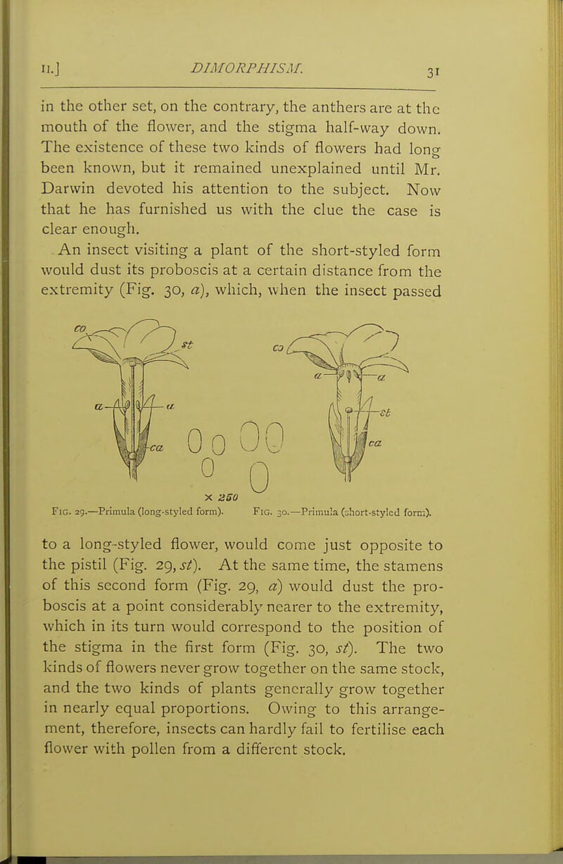 n.J DIMORPHISM. in the other set, on the contrary, the anthers are at the mouth of the flower, and the stigma half-way down. The existence of these two kinds of flowers had lono- been known, but it remained unexplained until Mr. Darwin devoted his attention to the subject. Now that he has furnished us with the clue the case is clear enough. An insect visiting a plant of the short-styled form would dust its proboscis at a certain distance from the extremity (Fig. 30, a), which, when the insect passed X 250 Fig. 29.—Primula (long-styled form). Fig. 30.—Primula (short-styled form). to a long-styled flower, would come just opposite to the pistil (Fig. 29, sf). At the same time, the stamens of this second form (Fig. 29, a) would dust the pro- boscis at a point considerably nearer to the extremity, which in its turn would correspond to the position of the stigma in the first form (Fig. 30, sf). The two kinds of flowers never grow together on the same stock, and the two kinds of plants generally grow together in nearly equal proportions. Owing to this arrange- ment, therefore, insects can hardly fail to fertilise each flower with pollen from a different stock.