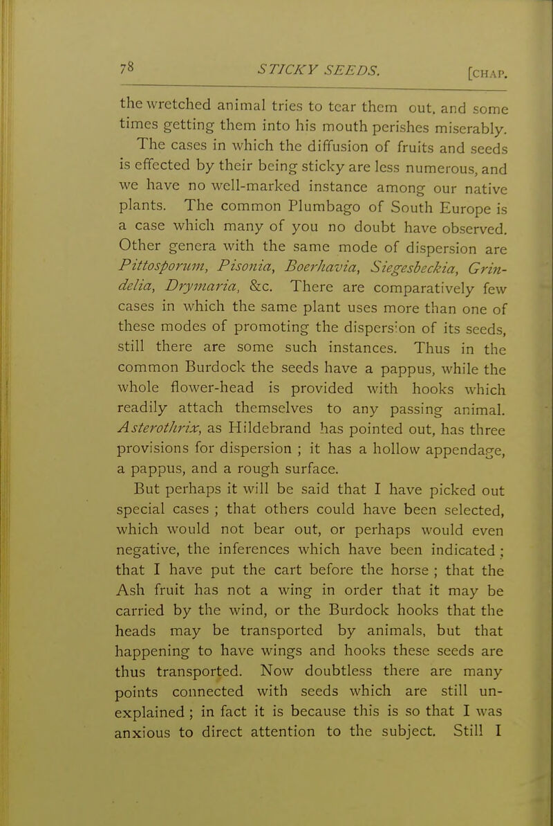 the wretched animal tries to tear them out. and some times getting them into his mouth perishes miserably. The cases in which the diffusion of fruits and seeds is effected by their being sticky are less numerous, and we have no well-marked instance among our native plants. The common Plumbago of South Europe is a case which many of you no doubt have observed. Other genera with the same mode of dispersion are Pittosporum, Pisonia, Boerhavia, Siegesbeckia, Grin- delta, Drymaria, 8ic. There are comparatively few cases in which the same plant uses more than one of these modes of promoting the dispersion of its seeds, still there are some such instances. Thus in the common Burdock the seeds have a pappus, while the whole flower-head is provided with hooks which readily attach themselves to any passing animal. AsterotJirix, as Hildebrand has pointed out, has three provisions for dispersion ; it has a hollow appendage, a pappus, and a rough surface. But perhaps it will be said that I have picked out special cases ; that others could have been selected, which would not bear out, or perhaps would even negative, the inferences which have been indicated ; that I have put the cart before the horse ; that the Ash fruit has not a wing in order that it may be carried by the wind, or the Burdock hooks that the heads may be transported by animals, but that happening to have wings and hooks these seeds are thus transported. Now doubtless there are many points connected with seeds which are still un- explained ; in fact it is because this is so that I was anxious to direct attention to the subject. Still I