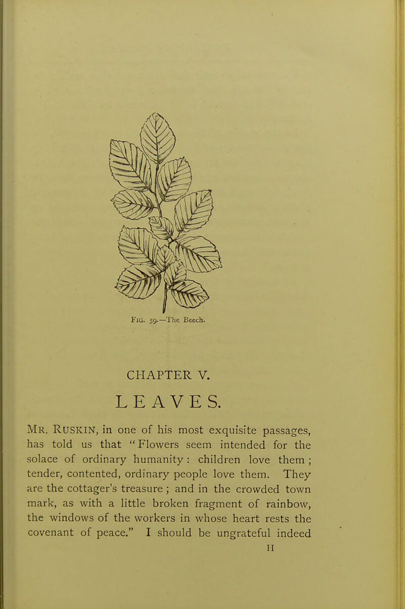 Fig. 59.—The Beech. CHAPTER V. LEAVES. Mr. RuSKIN, in one of his most exquisite passages, has told us that Flowers seem intended for the solace of ordinary humanity: children love them ; tender, contented, ordinary people love them. They are the cottager's treasure ; and in the crowded town mark, as with a little broken fragment of rainbow, the windows of the workers in whose heart rests the covenant of peace. I should be ungrateful indeed II