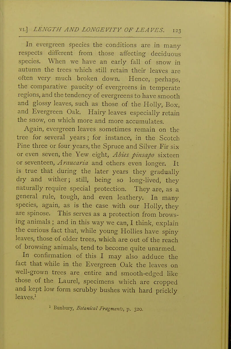 In evergreen Species the conditions are in many respects different from those affecting deciduous species. When we have an early fall of snow in autumn the trees which still retain their leaves are often very much broken down. Hence, perhaps, the comparative paucity of evergreens in temperate regions, and the tendency of evergreens to have smooth and glossy leaves, such as those of the Holly, Box, and Evergreen Oak. Hairy leaves especially retain the snow, on which more and more accumulates. Again, evergreen leaves sometimes remain on the tree for several years ; for instance, in the Scotch Pine three or four years, the Spruce and Silver Fir six or even seven, the Yew eight, Abies pinsapo sixteen or seventeen, Araucaria and others even longer. It is true that during the later years they gradually dry and wither; still, being so long-lived, they naturally require special protection. They are, as a general rule, tough, and even leathery. In many species, again, as is the case with our Holly, they are spinose. This serves as a protection from brows- ing animals ; and in this way we can, I think, explain the curious fact that, while young Hollies have spiny leaves, those of older trees, which are out of the reach of browsing animals, tend to become quite unarmed. In confirmation of this I may also adduce the fact that while in the Evergreen Oak the leaves on well-grown trees are entire and smooth-edged like those of the Laurel, specimens which are cropped and kept low form scrubby bushes with hard prickly leaves.-^ ^ Bunbury, Botanical Fragments, p. 320.