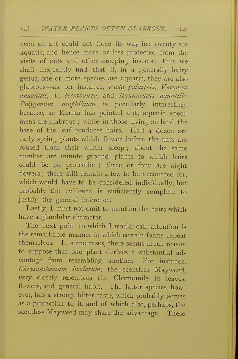 even an ant could not force its way in : twenty are aquatic, and hence more or less protected from the visits of ants and other creeping insects; thus we shall fi'equently find that if, in a generally hairy genus, one or more species are aquatic, they are also glabrous—as, for instance, Viola palustris, Veronica anagallis, V. beccabunga, and Raminculus aqiiatilis. Polygonum anipJiibiiim is peculiarly interesting, because, as Kerner has pointed out, aquatic speci- mens are glabrous; while in those living on land the base of the leaf produces hairs. Half a dozen are early spring plants which flower before the ants are roused from their winter sleep ; about the same number are minute ground plants to which hairs could be no protection; three or four are night flowers ; there still remain a few to be accounted for, which would have to be considered individually, but probably the evidence is sufficiently complete to justify the general inference. Lastly, I must not omit to mention the hairs which have a glandular character. The next point to which I would call attention is the remarkable manner in which certain forms repeat themselves. In some cases, there seems much reason to suppose that one plant derives a substantial ad- vantage from resembhng another. For instance, Chrysanthemum inodorum, the scentless Mayweed, very closely resembles the Chamomile in leaves, flowers, and general habit. The latter species, how- ever, has a strong, bitter taste, which probably serves as a protection to it, and of which also, perhaps, the scentless Mayweed may share the advantage. These