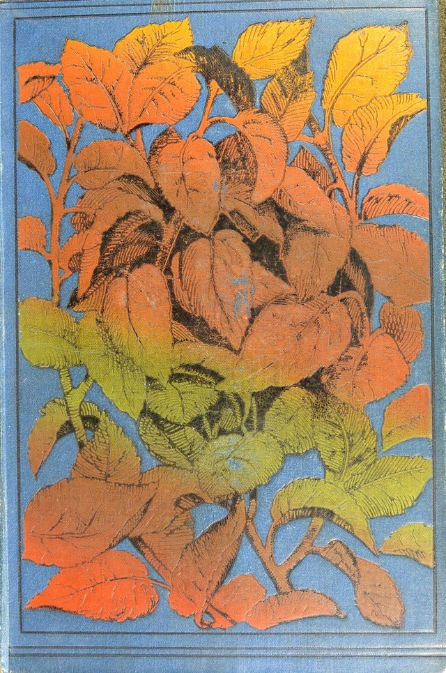 No text description is available for this image