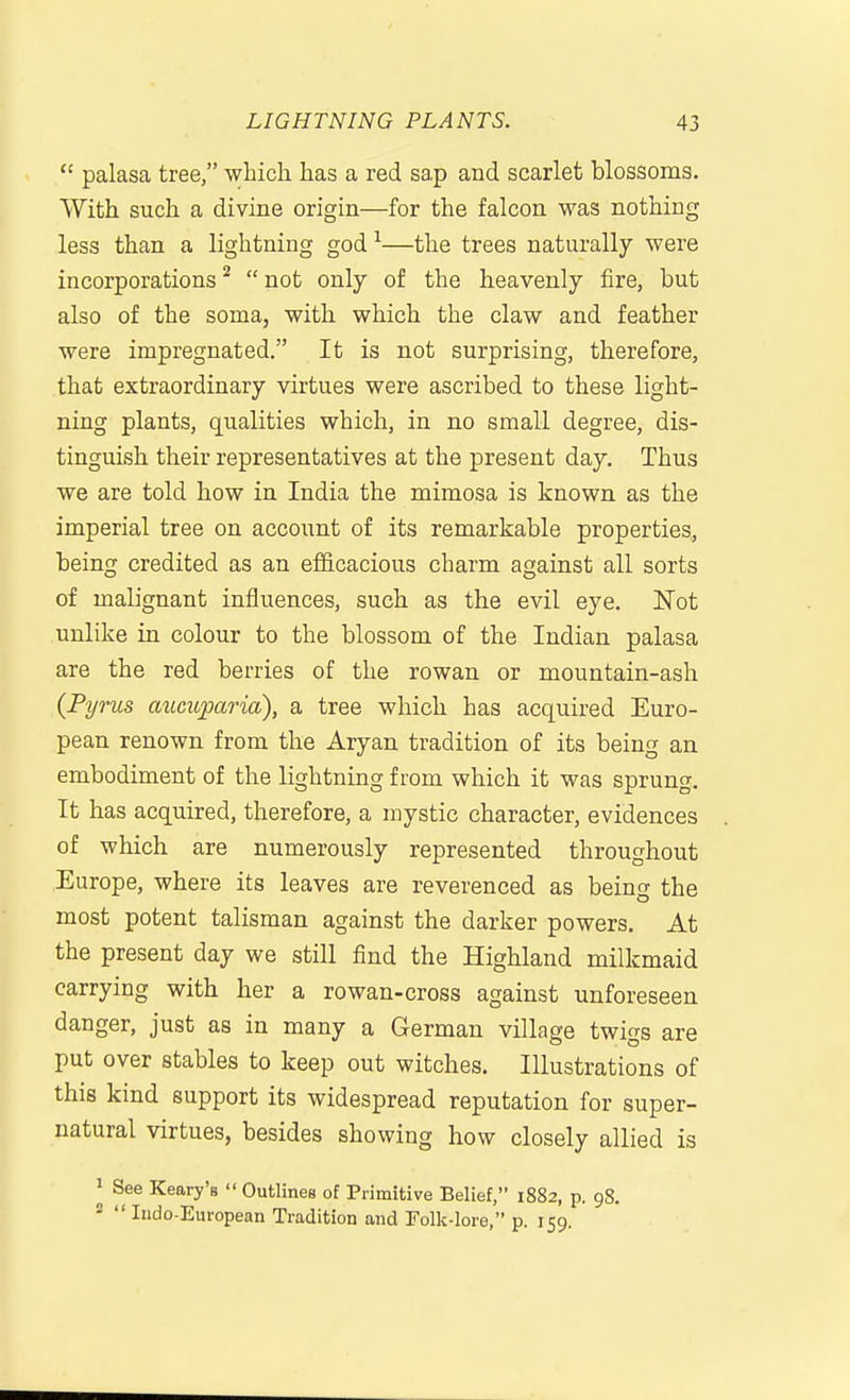  palasa tree, which has a red sap and scarlet blossoms. With such a divine origin—for the falcon was nothing less than a lightning god —the trees naturally were incorporations ^  not only of the heavenly fire, but also of the soma, with which the claw and feather were impregnated. It is not surprising, therefore, that extraordinary virtues were ascribed to these light- ning plants, qualities which, in no small degree, dis- tinguish their representatives at the present day. Thus we are told how in India the mimosa is known as the imperial tree on account of its remarkable properties, being credited as an ef&cacious charm against all sorts of malignant influences, such as the evil eye. Not unlike in colour to the blossom of the Indian palasa are the red berries of the rowan or mountain-ash {Pyrus axmtparia), a tree which has acquired Euro- pean renown from the Aryan tradition of its being an embodiment of the lightning from which it was sprung. It has acquired, therefore, a mystic character, evidences of which are numerously represented throughout Europe, where its leaves are reverenced as being the most potent talisman against the darker powers. At the present day we still find the Highland milkmaid carrying with her a rowan-cross against unforeseen danger, just as in many a German village twigs are put over stables to keep out witches. Illustrations of this kind support its widespread reputation for super- natural virtues, besides showing how closely allied is 1 See Keary's  Outlines of Primitive Belief, 1882, p. 98. 2 Indo-European Tradition and Tolk-lore, p. 159.