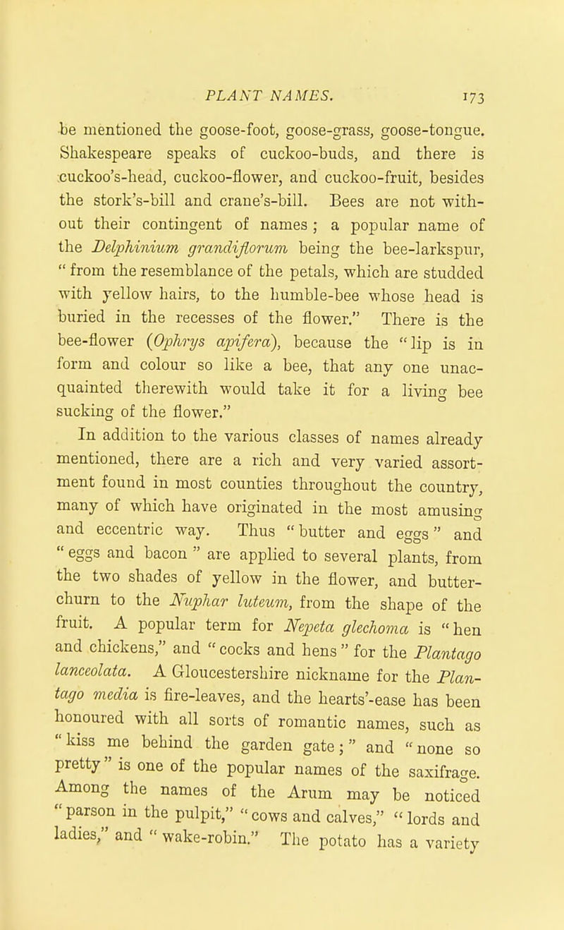 be mentioned the goose-foot, goose-grass, goose-tongue. Shakespeare speaks of cuckoo-buds, and there is ;cuckoo's-head, cuckoo-flower, and cuckoo-fruit, besides the stork's-bill and crane's-bill. Bees are not with- out their contingent of names ; a popular name of the Delphinium grandijiorum being the bee-larkspur,  from the resemblance of the petals, which are studded with yellow hairs, to the humble-bee whose head is buried in the recesses of the flower, There is the bee-flower {Ophrys apifera), because the lip is in form and colour so like a bee, that any one unac- quainted therewith would take it for a living bee sucking of the flower. In addition to the various classes of names already mentioned, there are a rich and very varied assort- ment found in most counties throughout the country, many of which have originated in the most amusing and eccentric way. Thus butter and eggs and  eggs and bacon  are applied to several plants, from the two shades of yellow in the flower, and butter- churn to the Nupliar luteum, from the shape of the fruit. A popular term for Nepcta glechoma is hen and chickens, and  cocks and hens  for the Plantago lanceolata. A Gloucestershire nickname for the Plan- tago media is fire-leaves, and the hearts'-ease has been honoured with all sorts of romantic names, such as kiss me behind the garden gate; and none so pretty is one of the popular names of the saxifrage. Among the names of the Arum may be noticed parson in the pulpit, cows and calves, lords and ladies, and  wake-robin. The potato has a variety