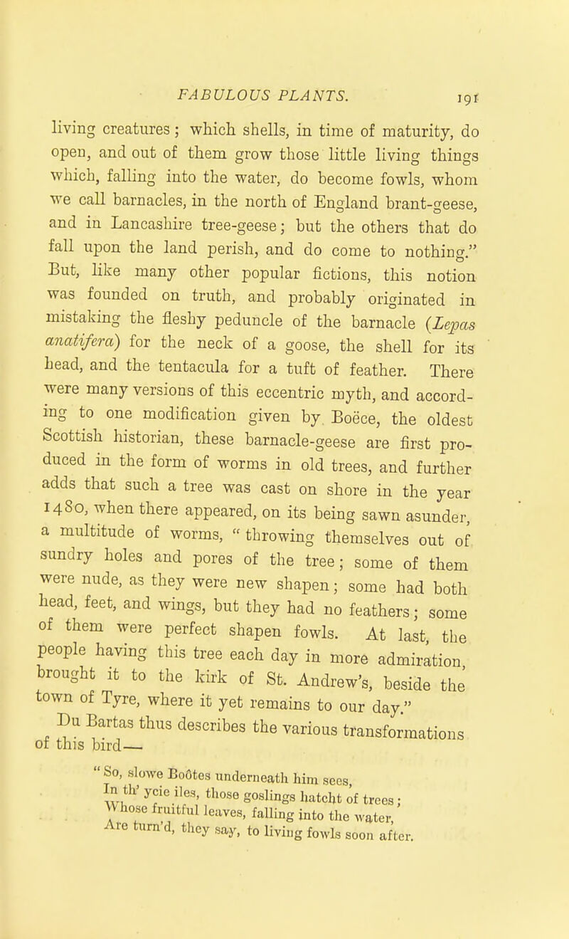 living creatures; which shells, in time of maturity, do open, and out of them grow those little living things which, falling into the water, do become fowls, whom we call barnacles, in the north of England brant-geese, and in Lancashire tree-geese; but the others that do fall upon the land perish, and do come to nothing. But, like many other popular fictions, this notion was founded on truth, and probably originated in mistaking the fleshy peduncle of the barnacle (Lepas anatifera) for the neck of a goose, the shell for its head, and the tentacula for a tuft of feather. There were many versions of this eccentric myth, and accord- ing to one modification given by. Boece, the oldest Scottish historian, these barnacle-geese are first pro- duced in the form of worms in old trees, and further adds that such a tree was cast on shore in the year 1480, when there appeared, on its being sawn asunder, a multitude of worms,  throwing themselves out of sundry holes and pores of the tree; some of them were nude, as they were new shapen; some had both head, feet, and wings, but they had no feathers; some of them were perfect shapen fowls. At last the people having this tree each day in more admiration brought it to the kirk of St. Andrew's, beside the' town of Tyre, where it yet remains to our day Da Bartas thus describes the various transformations of this bird—  So, slowe Bo6tes underneath him sees In th' ycie iles, those goslings hatcht of trees : Whose fruitful leaves, falling into the water, Ave turn d, they say, to living fowls soon after.