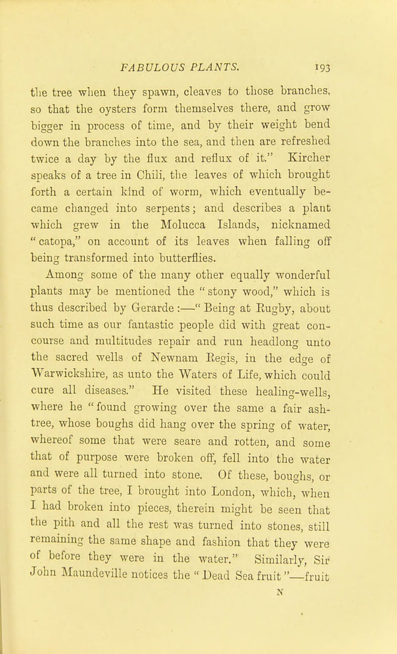 the tree when they spawn, cleaves to those brandies, so that the oysters form themselves there, and grow bigger in process of time, and by their weight bend down the branches into the sea, and then are refreshed twice a day by the flux and reflux of it. Kircher speaks of a tree in Chili, the leaves of which brought forth a certain kind of worm, which eventually be- came changed into serpents; and describes a plant which grew in the Molucca Islands, nicknamed  catopa, on account of its leaves when falling off being transformed into butterflies. Among some of the many other equally wonderful plants may be mentioned the  stony wood, which is thus described by G-erarde :— Being at Eugby, about such time as our fantastic people did with great con- course and multitudes repair and run headlong unto the sacred wells of Newnam Eegis, in the edge of Warwickshire, as unto the Waters of Life, which could cure all diseases. He visited these healing-wells, where he found growing over the same a fair ash- tree, whose boughs did hang over the spring of water, whereof some that were scare and rotten, and some that of purpose were broken off, fell into the water and were all turned into stone. Of these, boughs, or parts of the tree, I brought into London, which, when I had broken into pieces, therein might be seen that the pith and all the rest was turned into stones, still remaining the same shape and fashion that they were of before they were in the water. Similarly, Sir John Maundeville notices the Dead Sea fruit fruit N