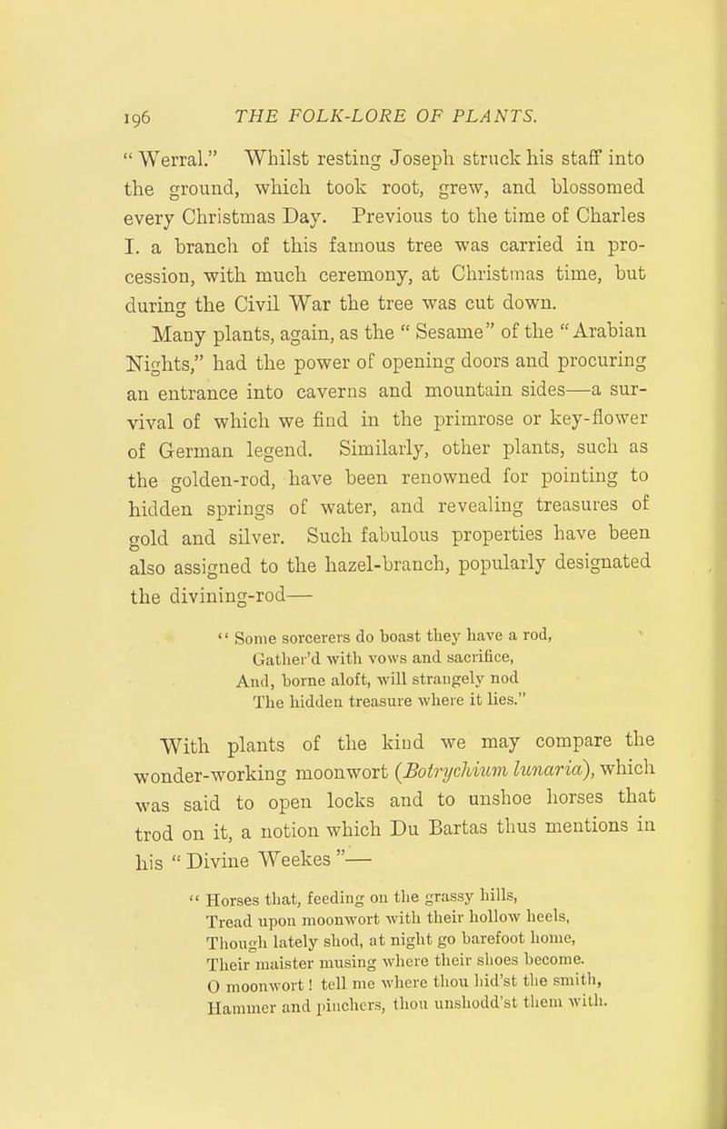  Werral. Whilst resting Joseph struck his staff into the ground, which took root, grew, and blossomed every Christmas Day. Previous to the time of Charles I. a branch of this famous tree was carried in pro- cession, with, much ceremony, at Christmas time, but during the Civil War the tree was cut down. Many plants, again, as the  Sesame of the Arabian Nights, had the power of opening doors and procuring an entrance into caverns and mountain sides—a sur- vival of which we find in the primrose or key-flower of German legend. Similarly, other plants, such as the golden-rod, have been renowned for pointing to hidden springs of water, and revealing treasures of gold and silver. Such fabulous properties have been also assigned to the hazel-branch, popularly designated the divining-rod—  Some sorcerers do boast tliey have a rod, Gather'd with vows and sacrifice, And, borne aloft, will strangely nod The hidden treasure where it lies. With plants of the kind we may compare the wonder-working moonwort {Botrychmm lunaria), which was said to open locks and to unshoe horses that trod on it, a notion which Du Bartas thus mentions in his  Divine Weekes —  Horses that, feeding on the grassy hills, Tread upon moonwort with their hollow heels, Though lately shod, at night go barefoot home. Their maister musing where their shoes become. 0 moonwort! tell me where thou hid'st the smith, Hammer and pinchers, thou unshodd'st them with.