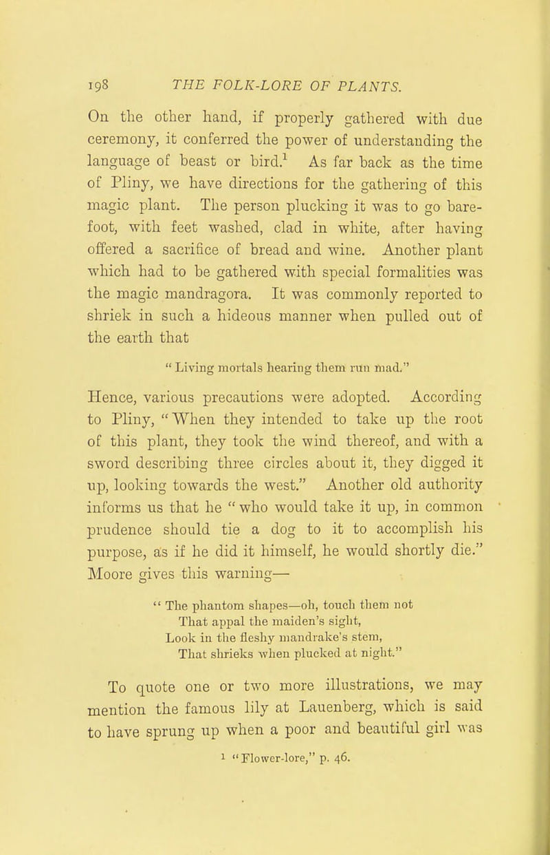 On the other hand, if properly gathered with due ceremony, it conferred the power of understanding the language of beast or bird.^ As far back as the time of Pliny, we have directions for the gathering of this magic plant. The person plucking it was to go bare- foot, with feet washed, clad in white, after having offered a sacrifice of bread and wine. Another plant which had to be gathered with special formalities was the magic mandragora. It was commonly reported to shriek in such a hideous manner when pulled out of the earth that  Living mortals hearing them run mad. Hence, various precautions were adopted. According to Pliny, When they intended to take up the root of this plant, they took the wind thereof, and with a sword describing three circles about it, they digged it up, looking towards the west. Another old authority informs us that he  who would take it up, in common prudence should tie a dog to it to accomplish his purpose, as if he did it himself, he would shortly die. Moore gives this warning—  Tlie phantom shapes—oh, touch them not That appal the maiden's sight, Look in the fleshy mandrake's stem. That shrieks when plucked at night. To quote one or two more illustrations, we may mention the famous lily at Lauenberg, which is said to have sprung up when a poor and beautiful girl was 1 Flower-lore, p. 46.