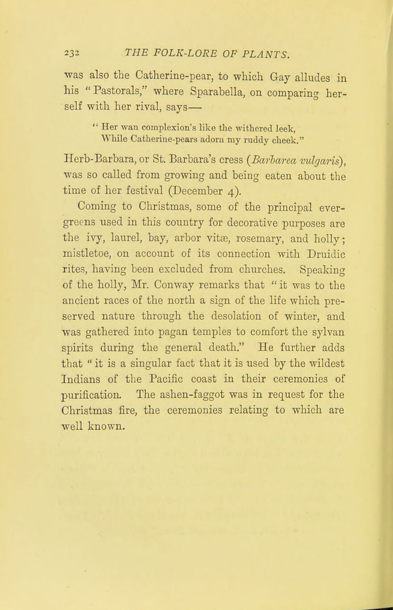 was also the Catherine-pear, to which Gay alludes in his Pastorals, where Sparabella, on comparing her- self with her rival, says—  Her wan complexion's like the withered leek, While Catherine-pears adoru my ruddy cheek, Herb-Barbara, or St. Barbara's cress (Barlarea vulgaris), was so called from growing and being eaten about the time of her festival (December 4). Coming to Christmas, some of the principal ever- greens used in this country for decorative purposes are the ivy, laurel, bay, arbor vitte, rosemary, and holly; mistletoe, on account of its connection with Druidic rites, having been excluded from churches. Speaking of the holly, Mr. Conway remarks that  it was to the ancient races of the north a sign of the life which pre- served nature through the desolation of winter, and was gathered into pagan temples to comfort the sylvan spirits during the general death. He further adds that  it is a singular fact that it is used by the wildest Indians of the Pacific coast in their ceremonies of purification. The ashen-faggot was in request for the Christmas fire, the ceremonies relating to which are well known.