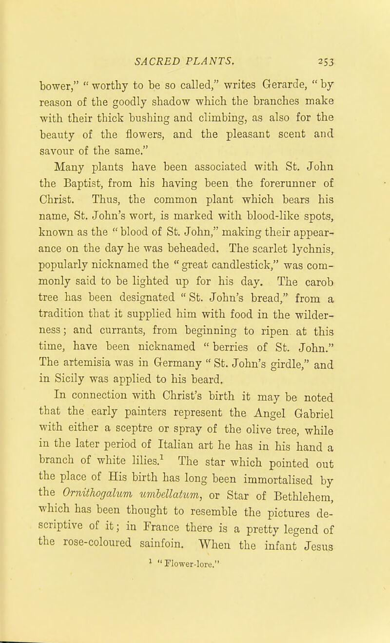bower,  worthy to be so called, writes Gerarde,  by reason of the goodly shadow which the branches make with their thick bushing and climbing, as also for the beauty of the flowers, and the pleasant scent and savour of the same. Many plants have been associated with St. John the Baptist, from his having been the forerunner of Christ. Thus, the common plant which bears his name, St. John's wort, is marked with blood-like spots, known as the  blood of St. John, making their appear- ance on the day he was beheaded. The scarlet lychnis, popularly nicknamed the  great candlestick, was com- monly said to be lighted up for his day. The carob tree has been designated  St. John's bread, from a tradition that it supplied him with food in the wilder- ness ; and currants, from beginning to ripen at this time, have been nicknamed  berries of St. John. The artemisia was in Germany  St. John's girdle, and in Sicily was applied to his beard. In connection with Christ's birth it may be noted that the early painters represent the Angel Gabriel with either a sceptre or spray of the olive tree, while in the later period of Italian art he has in his hand a branch of white lilies.^ The star which pointed out the place of His birth has long been immortalised by the Ornithogalum umMlatiLm, or Star of Bethlehem, which has been thought to resemble the pictures de- scriptive of it; in France there is a pretty legend of the rose-coloured sainfoin. When the infant Jesus 1 Flower-lore.