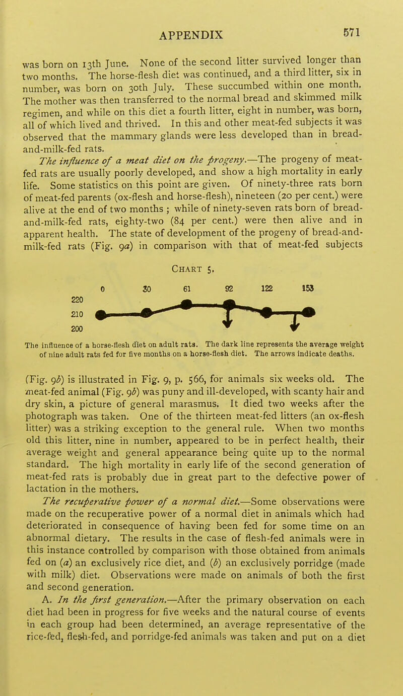 was born on 13th June. None of the second litter survived longer than two months. The horse-flesh diet was continued, and a third litter, six m number, was born on 30th July. These succumbed within one month. The mother was then transferred to the normal bread and skimmed milk regimen, and while on this diet a fourth litter, eight in number, was born, all of which lived and thrived. In this and other meat-fed subjects it was observed that the mammary glands were less developed than in bread- and-milk-fed rats. The influence of a meat diet on the progeny.—The. progeny of meat- fed rats are usually poorly developed, and show a high mortality in early life. Some statistics on this point are given. Of ninety-three rats bom of meat-fed parents (ox-flesh and horse-flesh), nineteen (20 per cent.) were alive at the end of two months ; while of ninety-seven rats born of bread- and-milk-fed rats, eighty-two (84 per cent.) were then alive and in apparent health. The state of development of the progeny of bread-and- milk-fed rats (Fig. 9a) in comparison with that of meat-fed subjects Chart 5. 0 30 61 92 122 153 The influence of a horse-flesh diet on adult rata. The dark line represents the average weight of nine adult rats fed for five months on a horse-flesh diet. The arrows Indicate deaths. (Fig. gb) is illustrated in Fig. 9, p. 566, for animals six weeks old. The meat-fed animal (Fig. c)b) was puny and ill-developed, with scanty hair and dry skin, a picture of general marasmus. It died two weeks after the photograph was taken. One of the thirteen meat-fed litters (an ox-flesh litter) was a striking exception to the general rule. When two months old this litter, nine in number, appeared to be in perfect health, their average weight and general appearance being quite up to the normal standard. The high mortality in early life of the second generation of meat-fed rats is probably due in great part to the defective power of lactation in the mothers. The recuperative power of a normal diet.—Some observations were made on the recuperative power of a normal diet in animals which had deteriorated in consequence of having been fed for some time on an abnormal dietary. The results in the case of flesh-fed animals were in this instance controlled by comparison with those obtained from animals fed on (a) an exclusively rice diet, and {b) an exclusively porridge (made with milk) diet. Observations were made on animals of both the first and second generation. A. In the first generation.—After the primary observation on each diet had been in progress for five weeks and the natural course of events in each group had been determined, an average representative of the rice-fed, flesh-fed, and porridge-fed animals was taken and put on a diet