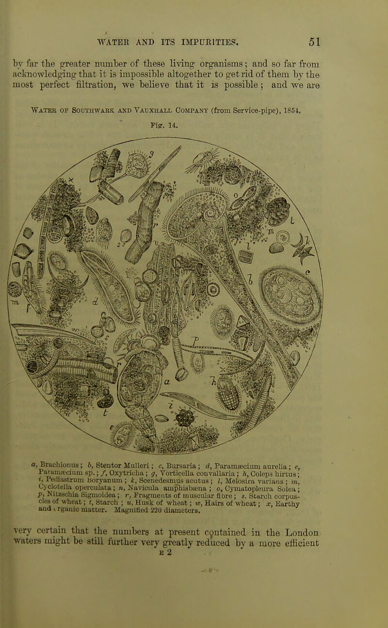 by far the greater number of these living' organisms; and so far from acknowledging that it is impossible altogether to get rid of them by the most perfect filtration, we believe that it is possible; and we are ■Water of Southwabk and Vatjxhall Company (from Service-pipe), 1854. Fip. 14. a, Brachionus; b, Stentor MuUeri; c, Bursaria; d, Paramecium aurelia; e, Parania^cium sp.; /, Oxytrioha; g, Vorticella couvallaria; h, Ooleps liii-tus; t, Pediastrum boryanum ; Scenedesmus aoutus; /, Melosira vaviaiis ; m, Cyclotella opercuiata; n, Navicula amphisbaina ; o, Cymatopleura Solea; p, Niczsohia Sigmoidea; r, Fragments of muscular fibre; «, Staroli corpus- cles of wheat; t, Starch ; u, Husk of wheat; w, Hairs of wheat; x, Earthy and I rganic matter. Magnified 220 diameters. very certain that the numbers at present contained in the London waters might be still further very gi-eatly reduced by a more etHcient E 2