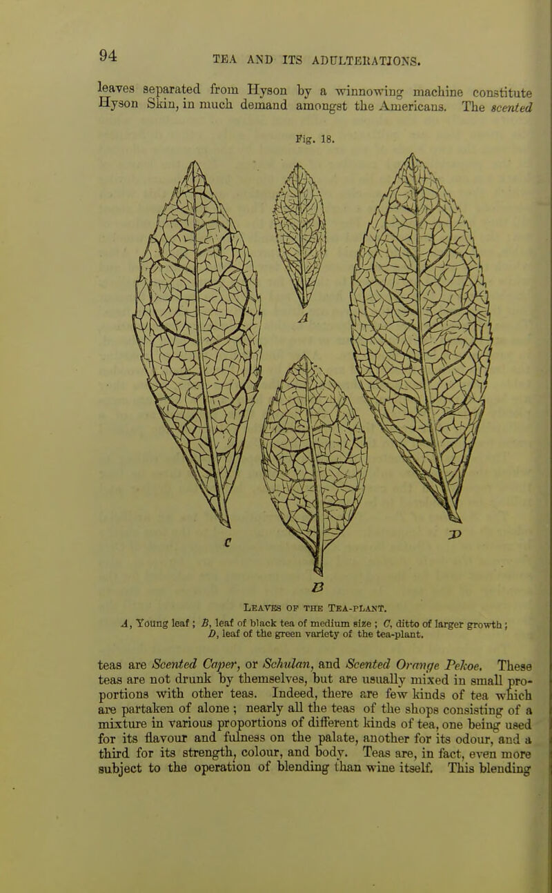 leaves separated from Hyson by a winnowing machine constitute Hyson Skin, in much demand amongst the Americans. The scented Fig. 18. B Leaves op the Tea-plant. A, Young leaf; B, leaf of black tea of medium size ; C, ditto of larger growth; D, leaf of tile green variety of the tea-plant. teas are Scented Caper, or Schulan, and Scented Orange Pekoe, These teas are not drunk by themselves, but are usually mixed in small pro- portions with other teas. Indeed, there are few kinds of tea which are partaken of alone ; nearly aU the teas of the shops consisting of a mixture in various proportions of different kinds of tea, one being used for its flavour and fulness on the palate, another for its odour, and a third for its strength, colour, and body. Teas are, in fact, even more subject to the operation of blending than wine itself. This blendmg