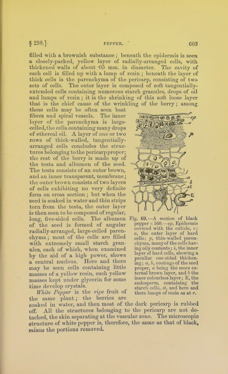 filled with a brownisli substance; beneath the epidermis is seen a closely-packed, yellow layer of radially-arranged cells, with thickened walls of about '05 mm. in diameter. The cavity of each cell is filled up with a lump of resin ; beneath the layer of thick cells is the parenchyma of the pericarp, consisting of two sets of cells. The outer layer is composed of soft tangentially- extended cells containing numei'ous starch granules, drops of oil and lumps of resin; it is the shrinking of this soft loose layer that is the chief cause of the wrinkling of the bei'ry; among these cells may be often seen bast fibres and spiral vessels. The inner layer of the parenchyma is large- celled, tlie cells containing many drops of ethereal oil. A layer of one or two rows of thick-walled, tangentially- arranged cells concludes the struc- tures belonging to the pericarp proper; the rest of the berry is made up of the testa and albumen of the seed. The testa consists of an outer brown, and an inner transparent, membrane; the outer brown consists of two layers of cells exhibiting no very definite form on cross section; but when the seed is soaked in water and thin strips torn from the testa, the outer layer is then seen to be composed of regular, long, five-sided cells. The albumen Fig, of the seed is formed of angular radially-arranged, large-celled paren- chyma ; most of the cells are filled with extremely small starch gran- ules, each of which, when examined by the aid of a high power, shows a central nucleus. Here and there may be seen cells containing little masses of a yellow resin, such yellow masses kept under glycerin for some time develop crystals. White Pepper is the ripe fruit of the same plant; the bei-ries are soaked in water, and then most of the dark pericarp is rubbed ofi. All the structures belonging to the pericarp are not de- tached, the skin separating at the vascular zone. The microscopic structure of white pepper is, therefore, the same as that of black, minus the portions removed. 69.—A section of black pepper X IGO.—ep. Epidermis covered with the cuticle, c; o, the outer layer of hard cells; 2?, thin-walled paren- chyma, many of the cells hav- ing oily contents; i, the inner layer of hard cells, showing a peculiar one-sided thicken- ing; a, b, coatings of the seed proper, a being the more ex- ternal brown layer, and b the inner colourless layer; E, the endosperm, containing the starch cells, at, and here and there lumps of I'esin as at r.