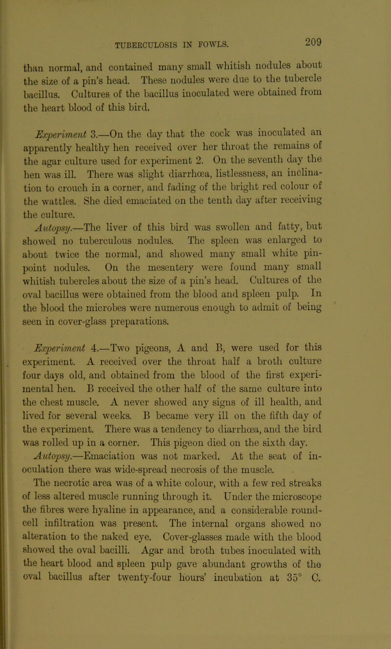 than normal, and contained many small whitish nodules about the size of a pin’s head. These nodules were due to the tubercle bacillus. Cultures of the bacillus inoculated were obtained from the heart blood of this bird. Experiment 3.—On the day that the cock was inoculated an apparently healthy hen received over her throat the remains of the agar culture used for experiment 2. On the seventh day the hen was ill. There was slight diarrhoea, listlessness, an inclina- tion to crouch in a corner, and fading of the bright red colour of the wattles. She died emaciated on the tenth day after receiving the culture. Autopsy.—The liver of this bird was swollen and fatty, but showed no tuberculous nodules. The spleen was enlarged to about twice the normal, and showed many small white pin- point nodules. On the mesentery were found many small whitish tubercles about the size of a pin’s head. Cultures of the oval bacillus were obtained from the blood and spleen pulp. In the blood the microbes were numerous enough to admit of being seen in cover-glass preparations. Experiment 4.—Two pigeons, A and B, were used for this experiment. A received over the throat half a broth culture four days old, and obtained from the blood of the first experi- mental hen. B received the other half of the same culture into the chest muscle. A never showed any signs of ill health, and lived for several weeks. B became very ill on the fifth day of the experiment. There was a tendency to diarrhoea, and the bird was rolled up in a corner. This pigeon died on the sixth day. Autopsy.—Emaciation was not marked. At the seat of in- oculation there was wide-spread necrosis of the muscle. The necrotic area was of a white colour, with a few red streaks of less altered muscle running through it. Under the microscope the fibres were hyaline in appearance, and a considerable round- cell infiltration was present. The internal organs showed no alteration to the naked eye. Cover-glasses made with the blood showed the oval bacilli. Agar and broth tubes inoculated with the heart blood and spleen pulp gave abundant growths of the oval bacillus after twenty-four hours’ incubation at 35° C.
