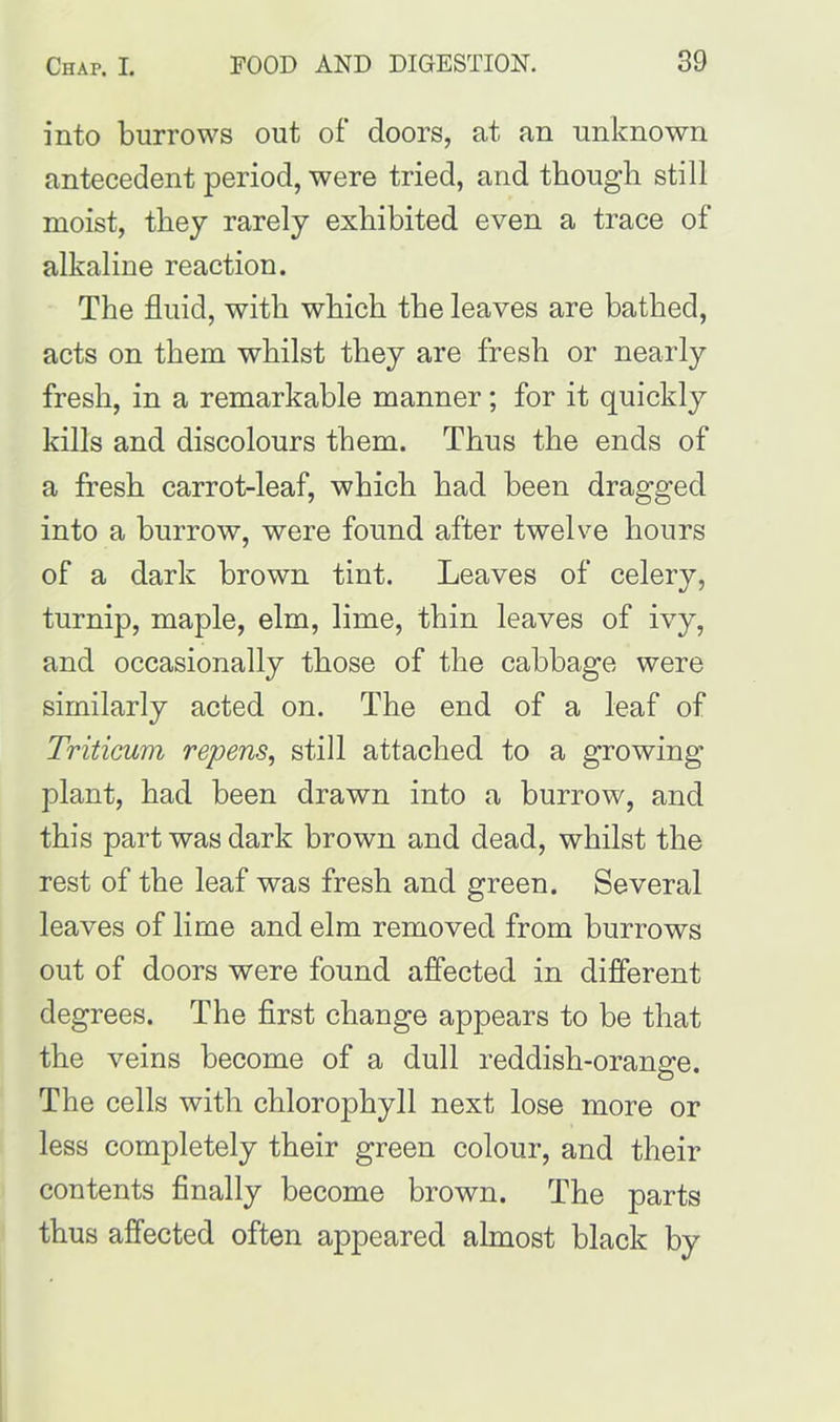 into burrows out of doors, at an unknown antecedent period, were tried, and though still moist, they rarely exhibited even a trace of alkaline reaction. The fluid, with which the leaves are bathed, acts on them whilst they are fresh or nearly fresh, in a remarkable manner; for it quickly kills and discolours them. Thus the ends of a fresh carrot-leaf, which had been dragged into a burrow, were found after twelve hours of a dark brown tint. Leaves of celery, turnip, maple, elm, lime, thin leaves of ivy, and occasionally those of the cabbage were similarly acted on. The end of a leaf of Triticum repens, still attached to a growing plant, had been drawn into a burrow, and this part was dark brown and dead, whilst the rest of the leaf was fresh and green. Several leaves of lime and elm removed from burrows out of doors were found affected in different degrees. The first change appears to be that the veins become of a dull reddish-orange. The cells with chlorophyll next lose more or less completely their green colour, and their contents finally become brown. The parts thus affected often appeared almost black by