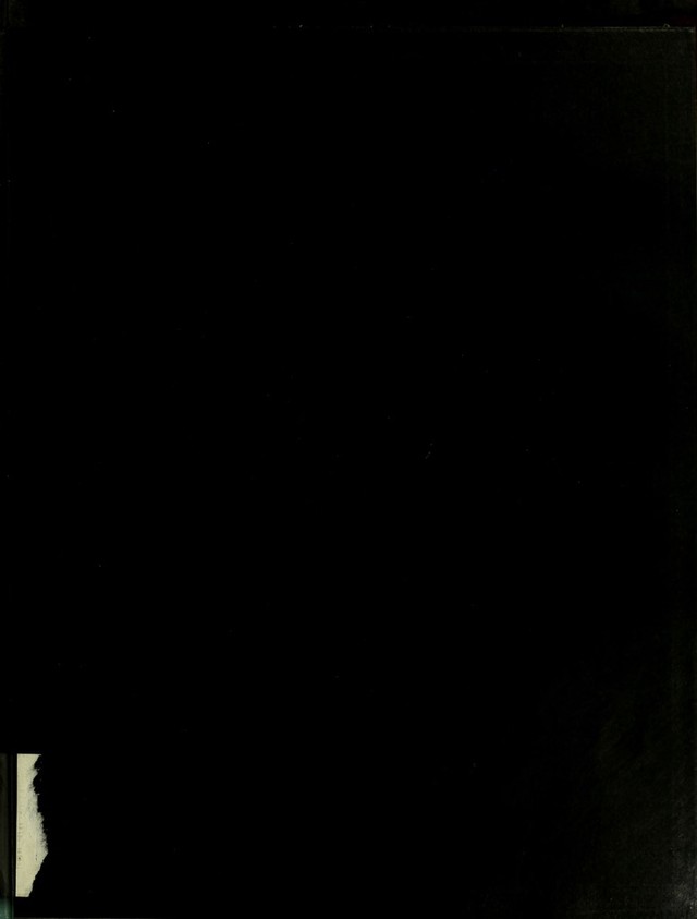 digitised image 3