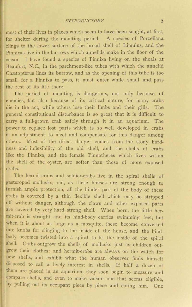 most of their lives in places which seem to have been sought, at first, for shelter during the moulting period. A species of Porcellana clings to the lower surface of the broad shell of Limulus, and the Pinnixas live in the burrows which annelids make in the floor of the ocean. I have found a species of Pinnixa living on the shoals at Beaufort, N.C., in the parchment-like tubes with which the annelid Chsetopterus lines its burrow, and as the opening of this tube is too small for a Pinnixa to pass, it must enter while . small and pass the rest of its life there. The period of moulting is dangerous, not only because of enemies, but also because of its critical nature, for many crabs die in the act, while others lose their limbs and their gills. The general constitutional disturbance is so great that it is difficult to carry a full-grown crab safely through it in an aquarium. The power to replace lost parts which is so well developed in crabs is an adjustment to meet and compensate for this danger among others. Most of the direct danger comes from the stony hard- ness and inflexibility of the old shell, and the shells of crabs like the Pinnixa, and the female Pinnotheres which lives within the shell of the oyster, are softer than those of more exposed crabs. The hermit-crabs and soldier-crabs live in the spiral shells of gasteropod mollusks, and, as these houses are strong enough to furnish ample protection, all the hinder part of the body of these crabs is covered by a thin flexible shell which may be stripped off without danger, although the claws and other exposed parts are covered by very hard strong shell. When born, the little her- mit-crab is straight and its hind-body carries swimming feet, but when it is about as large as a mosquito, these become converted into knobs for clinging to the inside of the house, and the hind- body becomes twisted into a spiral to fit the inside of the spiral shell. Crabs outgrow the shells of mollusks just as children out- grow their clothes; and hermit-crabs are always on the watch for new shells, and exhibit what the human observer finds himself disposed to call a lively interest in shells. If half a dozen of them are placed in an aquarium, they soon begin to measure and compare shells, and even to make vacant one that seems eligible, by pulling out its occupant piece by piece and eating him. One