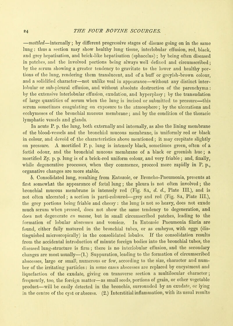 —mottled—internally ; by different progressive stages of disease going on in the same lung: thus a section may show healthy lung tissue, interlobular effusion, red, black, and grey hepatisation, and brick-like hepatisation (sphacelus); by being often diseased in patches, and the involved portions being always well defined and circumscribed; by the serum showing a greater tendency to gravitate to the lower and healthy por- tions of the lung, rendering them translucent, and of a buff or greyish-brown colour, and a solidified character—not unlike veal in appearance—without any distinct inter- lobular or sub-pleural effusion, and without absolute destruction of the parenchyma: by the extensive interlobular effusion, exudation, and hyperplasy; by the transudation of large quantities of serum when the lung is incised or submitted to pressure—this serum sometimes coagulating on exposure to the atmosphere; by the ulcerations and ecchymoses of the bronchial mucous membrane; and by the condition of the thoracic lymphatic vessels and glands. In acute P. p. the lung, both externally and internally, as also the lining membrane of the blood-vessels and the bronchial mucous membrane, is uniformly red or black in colour, and devoid of the characteristics above mentioned; it may crepitate slightly on pressure. A mortified P. p. lung is intensely black, sometimes green, often of a foetid odour, and the bronchial mucous membrane of a black or greenish hue; a mortified Zy. p. p. lung is of a brick-red uniform colour, and very friable; and, finally, while degenerative processes, when they commence, proceed more rapidly in P. p., organative changes are more stable. h. Consolidated lung, resulting from Entozoic, or Broncho-Pneumonia, presents at first somewhat the appearance of foetal lung; the pleura is not often involved; the bronchial mucous membrane is intensely red (Fig. 8a, d. d., Plate III.), and is not often ulcerated; a section is parti-coloured—grey and red (Fig. 8a, Plate III.), the grey portions being friable and cheesy: the lung is not so heavy, does not exude much serum when pressed, does not show the same tendency to degeneration, and does not degenerate en masse, but in small circumscribed patches, leading to the formation of lobular abscesses and vomicae. In Entozoic Pneumonia filaria are found, either fully matured in the bronchial tubes, or as embryos, with eggs (dis- tinguished microscopically) in the consolidated lobules. If the consolidation results from the accidental introduction of miimte foreign bodies into the bronchial tubes, the diseased lung-structure is firm; there is no interlobular effusion, and the secondary changes are most usually—(1.) Suppuration, leading to the formation of circumscribed abscesses, large or small, numerous or few, according to the size, character and num- ber of the irritating particles: in some cases abscesses are replaced by encystraent and liquefaction of the exudate, giving on transverse section a multilocular character; frequently, too, the foreign matter—as small seeds, portions of grain, or other vegetable product—will be easily detected in the bronchia, surrounded by an exudate, or lying in the centre of the cyst or abscess. (2.) Interstitial inflammation, with its usual results