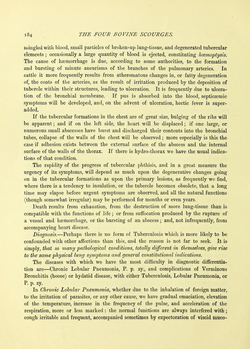 luiugled with blood, small particles of broken-up lung-tissue, and degenerated tubercular elements ; occasionally a large quantity of blood is ejected, constituting hcemoptysis. The cause of hfemorrhage is due, according to some authorities, to the formation and bursting of minute aneurisms of the branches of the pulmonary arteries. In cattle it more frequently results horn atheromatous changes in, or fatty degeneration of, the coats of the arteries, as the result of irritation produced by the deposition of tubercle within' their structures, leading to ulceration. It is frequently due to ulcera- tion of the bronchial membrane. If pus is absorbed into the blood, septicaemic symptoms will be developed, and, on the advent of ulceration, hectic fever is super- added. If the tubercular formations in the chest are of great size, bulging of the ribs will be apparent; and if on the left side, the heart will be displaced; if one large, or numerous small abscesses have burst and discharged their contents into the bronchial tubes, collapse of the walls of the chest will be observed; more especially is this the case if adhesion exists between the external surface of the abscess and the internal surface of the walls of the thorax. If there is hydro-thorax we have the usual indica- tions of that condition. The rapidity of the progress of tubercular phthisis, and in a great measure the urgency of its symptoms, will depend as much upon the degenerative changes going on in the tubercular formations as upon the primary lesions, as frequently we find, where there is a tendency to insulation, or the tubercle becomes obsolete, that a long time may elapse before urgent symptoms are observed, and all the natural functions (though somewhat irregular) may be performed for months or even years. Death results from exhaustion, from the destruction of more lung-tissue than is compatible with the functions of life ; or from suffocation produced by the rupture of a vessel and haemorrhage, or the bursting of an abscess; and, not infrequently, from accompanying heart disease. Diagnosis.—Perhaps there is no form of Tuberculosis which is more likely to be confounded with other affections than this, and the reason is not far to seek. It is simply, that so many pathological conditions, totally different in themselves, give rise to the same physical lung symptoms and general constitutional indications. The diseases with which we have the most difficulty in diagnostic differentia- tion are—Chronic Lobular Pneumonia, P. p. zy., and complications of Verminous Bronchitis (hoose) or hydatid disease, with either Tuberculosis, Lobular Pneumonia, or P. p. zy. In Chronic Lohidar Pneumonia, whether due to the inhalation of foreign matter, to the irritation of parasites, or any other cause, we have gradual emaciation, elevation of the temperature, increase in the frequency of the pulse, and acceleration of the respiration, more or less marked : the normal functions are always interfered with; cough irritable and frequent, accompanied sometimes by expectoration of viscid muco-