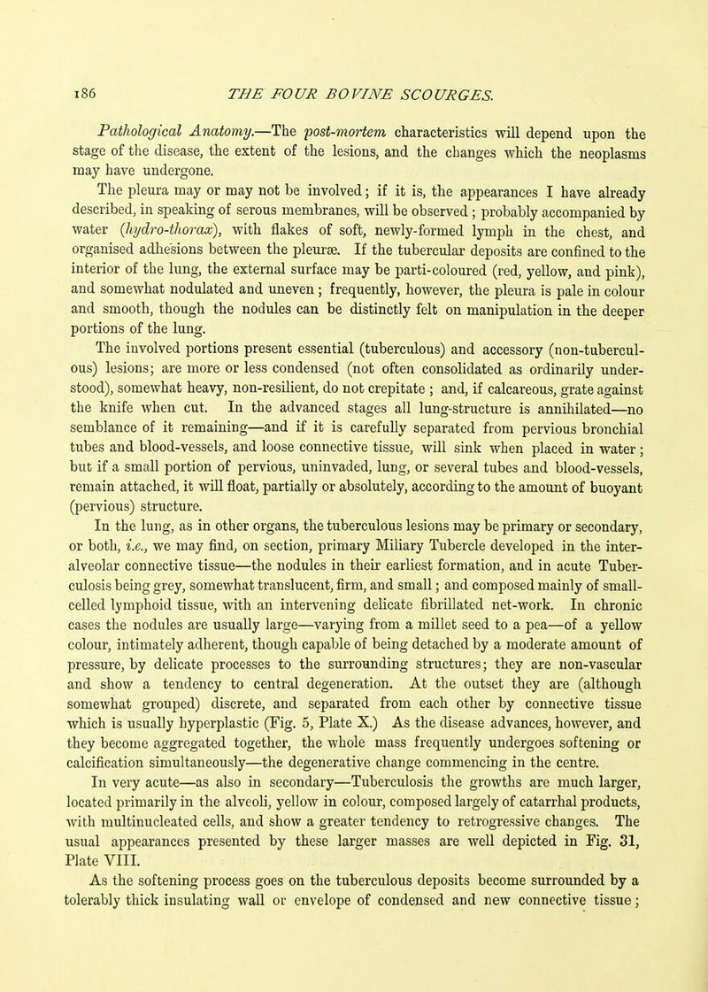 Pathological Anatomy.—The post-mortem characteristics will depend upon the stage of the disease, the extent of the lesions, and the changes which the neoplasms may have undergone. The pleura may or may not be involved; if it is, the appearances I have already described, in speaking of serous membranes, will be observed ; probably accompanied by water (liydro-thorax), with flakes of soft, newly-formed lymph in the chest, and organised adhesions between the pleurse. If the tubercular deposits are confined to the interior of the lung, the external surface may be parti-coloured (red, yellow, and pink), and somewhat nodulated and uneven ; frequently, however, the pleura is pale in colour and smooth, though the nodules can be distinctly felt on manipulation in the deeper portions of the lung. The involved portions present essential (tuberculous) and accessory (non-tubercul- ous) lesions; are more or less condensed (not often consolidated as ordinarily under- stood), somewhat heavy, non-resilient, do not crepitate ; and, if calcareous, grate against the knife when cut. In the advanced stages all lung-structure is annihilated—no semblance of it remaining—and if it is carefully separated from pervious bronchial tubes and blood-vessels, and loose connective tissue, will sink when placed in water; but if a small portion of pervious, uninvaded, lung, or several tubes and blood-vessels, remain attached, it will float, partially or absolutely, according to the amount of buoyant (pervious) structure. In the lung, as in other organs, the tuberculous lesions may be primary or secondary, or both, i.e., we may find, on section, primary Miliary Tubercle developed in the inter- alveolar connective tissue—the nodules in their earliest formation, and in acute Tuber- culosis being grey, somewhat translucent, firm, and small; and composed mainly of small- celled lymphoid tissue, with an intervening delicate fibrillated net-work. In chronic cases the nodules are usually large—varying from a millet seed to a pea—of a yellow colour, intimately adherent, though capable of being detached by a moderate amount of pressure, by delicate processes to the surrounding structures; they are non-vascular and show a tendency to central degeneration. At the outset they are (although somewhat grouped) discrete, and separated from each other by connective tissue which is usually hyperplastic (Fig. 5, Plate X.) As the disease advances, however, and they become aggregated together, the whole mass frequently undergoes softening or calcification simultaneously—the degenerative change commencing in the centre. In very acute—as also in secondary—Tuberculosis the growths are much larger, located primarily in the alveoli, yellow in colour, composed largely of catarrhal products, with multinucleated cells, and show a greater tendency to retrogressive changes. The usual appearances presented by these larger masses are well depicted in Kg. 31, Plate VIII. As the softening process goes on the tuberculous deposits become surrounded by a tolerably thick insulating waU or envelope of condensed and new connective tissue;