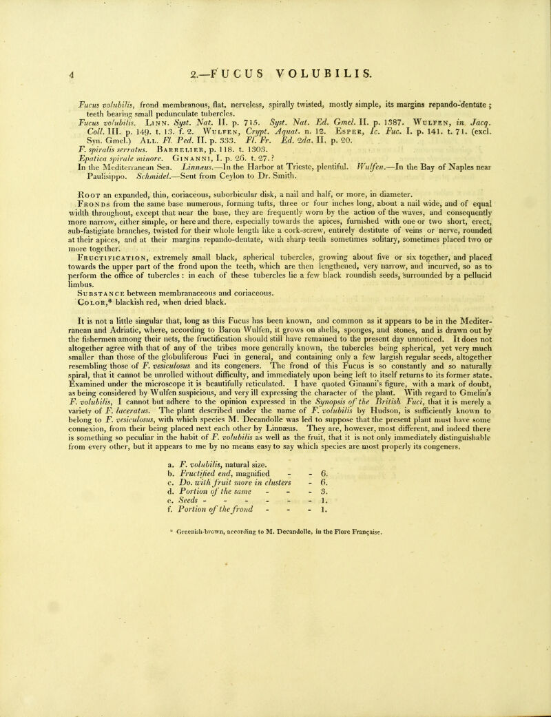 Fucus volubilis, frond membranous, flat, nerveless, spirally twisted, mostly simple, its margins repando-dentate ; teeth bearing small pedunculate tubercles. Fucus volnbilis. Linn. Syst. Nat. II. p. 715. Si/st. Nat. Ed. Gmel. II. p. 1387. Wulfen, in Jacq. Coll. III. p. 149. t. 13. f. 2. WuLFEN, Crypt. Aquat. n. 12. Espek, Ic. Fuc. I. p. 141. t. 71. (excK Syn. Gmel.) All. FI. Fed. II. p. 333. Fl. Fr. Ed. 2da. II. p. 20. F. spiralis serratns. Barreliek, p. 118. t. 1303. Epatica spirale minore. Ginanni, I. p. 26. t. 27..'' In the Mediterranean Sea. JJnnaus.—In the Harbor at Trieste, plentiful. Wulferi.—In the Bay of Naples neas Paulisippo. Schmidel.—Sent from Ceylon to Dr. Smith. Root an expanded, thin, coriaceous, suborbicular disk, a nail and half, or more, in diameter. Fronds from the same base numerous, forming tufts, three or four inches long, about a nail wide, and of equal %vidth throughout, except that near the base, they are frequently worn by the action of the waves, and consequently more narrow, either simple, or here and there, especially towards the apices, furnished with one or two short, erect, sub-fastigiate branches, twisted for their whole length like a cork-screw, entirely destitute of veins or nerve, rounded at their apices, and at their margins repando-dentate, with sharp teeth sometimes solitary, sometimes placed two or more together. Fructification, extremely small black, spherical tubercles, growing about five or six together, and placed towards the upper part of the frond upon the teeth, which are then lengthened, very narrow, and incurved, so as to perform the office of tubercles : in each of these tubercles lie a few black roundish seeds, 'surrounded by a pellucid limbus. Substance between membranaceous and coriaceous. Color,* blackish red, when dried black. It is not a little singular that, long as this Fucus has been known, and common as it appears to be in the Mediter- ranean and Adriatic, where., according to Baron Wulfen, it grows on shells, sponges, and stones, and is drawn out by the fishermen among their nets, the fructification should still have remained to the present day unnoticed. It does not altogether agree with that of any of the tribes more generally known, the tubercles being spherical, yet very much smaller than those of the globuliferous Fuci in general, and containing only a few largish regular seeds, altogether resembling those of F. vesiculosus and its congeners. The frond of this Fucus is so constantly and so naturally spiral, that it cannot be unrolled without difficulty, and immediately upon being left to itself returns to its former state. Examined under the microscope it is beautifully reticulated. I have quoted Ginanni's figure, with a mark of doubt, as being considered by Wulfen suspicious, and very ill expressing the character of the plant. With regard to Gmelin's F. volubilis, I cannot but adhere to the opinion expressed in the Synopsis of the British Fuci, that it is merely a variety of F. laceratus. The plant described under the name of F. volubilis by Hudson, is sufficiently kno^^ n to belong to jP. vesictdosus, with which species M. Decandolle was led to suppose that the present plant must have some connexion, from their being placed next each other by LinoEeus. They are, however, most different, and indeed there is something so peculiar in the habit of F. volubilis as well as the fruit, that it is not only immediately distinguishable from every other, but it appears to me by no means easy to say which species are most properly its congeners. a. F. volubilis, natural size. b. Fructijied end, magnified - - 6. c. Do. with fruit more in clusters - 6. d. Portion of the same - - - 3. e. Seeds ------]. f. Fortiori of the frond - - - 1. * Greenish-bi'own, according to M. Decandolle, in the Flore Fran^aise,