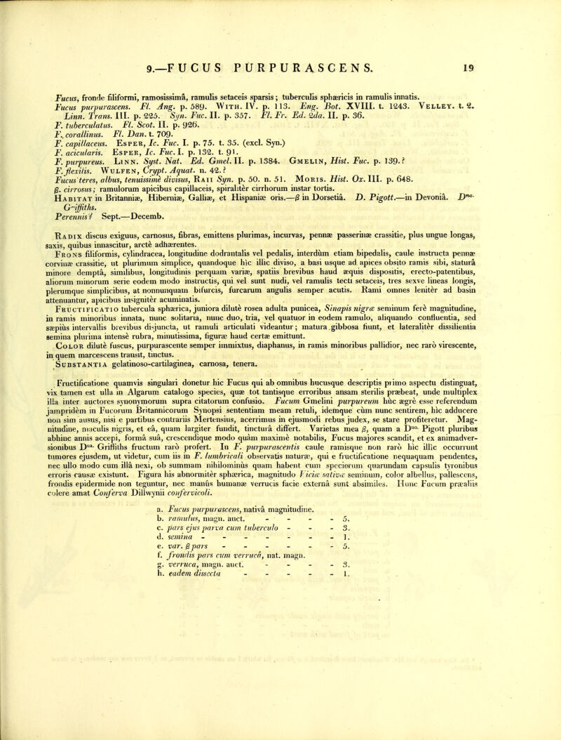 Fucus, fronde filiformi, ramosissima, ramulis setaceis sparsis; tuberculis spliasricis in ramulis innatis. Fucus puipurascens. Fl. Ang. p. 589. With. IV. p. 113. Eng. Bot. XVIII. t. 1243. Velley. t. 2» Linn. Trans. III. p. 223. S>jii. Fuc. II. p. 357. Fl. Fr. Ed. 2da. II. p. 36. F. tuberculatus. Fl. Scot. II. p. 926. F.. corallinus. Fl. Dan. t. 709- F. capillaceus. Esper, Ic. Fuc. I. p. 75. t. 35. (excl. Syn.) F. acicularis. Esper, Ic. Fuel. p. 132. t. 9\. F. purpureas. Linn. Syst. Nat. Ed. Gmel.ll. p. 1384. Gmelin, Hist. Fuc. p. 139. i F.Jiexilis. Wvlfen, Crypt. Jquat. n. 4^.? Fucus'teres, albus, tenuissim^ divisus, Raii Syn. p. 50. n. 51. Moris. Hist. Ox. III. p. 648. cirrosus; ramulorum apicibus capillaceis, spiralit^r cirrhorum instar tortis. Habitat in Britanniae, Hiberniae, Galliae, et Hbpaniae oris.—^ in Dorseti^. D. Pigott.—in Devoni-^. D*- G^'iffitks. Perennis'^ Sept.—Decemb. Hadix discus exiguus, camosus, fibras, emlttens plurimas, incurvas, pennae passerinae crassitie, plus ungue longas, saxis, quibus innascitur, arct^ adhaerentes. Frons filiformis, cylindracea, longitudine dodrantalis vel pedalis, interd^m etiam bipedalis, caule instructa pennae corvinae crassitie, ut plurimum simplice, quandoque hic illic diviso, a basi usque ad apices obsito ramis sibi, statura minore dempta, similibus, longitudinis perquam variae, spatiis brevibus baud aequis dispositis, erecto-patentibus, aliorum minorum serie eodem modo instructis, qui vel sunt nudi, vel ramulis tecti setaceis, tres sexve lineas longis, plerumque simplicibus, at nonnunquaui bifurcis, furcarum angulis semper acutis. Rami omnes lenit^r ad basin attenuantur, apicibus insigniter acuminatis. Fructificatio tubercula sphaerica, juniora dilute rosea adulta punicea, Sinapis nigr<z seminum fer^ magnitudine, in ramis minoribus innata, nunc solitaria, nunc duo, tria, vel quatuor in eodem ramulo, aliquando contiuentia, sed saepius intervallis brevibus disjuncta, ut ramuli articulati videantur; matura gibbosa liunt, et lateraliter dissilientia semina plurima intens^ rubra, minutissima, ligurae baud certae emittunt. Color dilute fuscus, purpurascente semper immixtus, diaphanus, in ramis minoribus pallidior, nee raro virescente, in quem marcescens transit, tinctus. Substantia gelatinoso-cartilaginea, camosa, tenera. Fructificatione quamvis singulari donetur hic Fucus qui ab omnibus hucusque descriptis pi imo aspectii distinguat, vix tamen est uUa in Algarum catalogo species, quae tot tantisque erroribus ansam sterilis praebeat, unde multiplex ilia inter auctores synonymorum supra citatorum confusio. Fucum Gmelini purpureum hvlc aegre esse referendum jampridem in Fucorum Britannicorum Synopsi sententiam meam retuli, idemque cum nunc sentirem, hic adducere non sim ausus, nisi e partibus contrariis Mertensius, acerrimus in ejusmodi rebus judex, se stare profiteretur. Mag- nitudine, niaculis nigris, et ea, quam largiter fundit, tinctura difFert. Varietas mea /3, quam a D°- Pigott pluribus abhinc annis accepi, forma sua, crescendique modo qu^m maxime notabilis, Fucus majores scandit, et ex animadver- sionibus D*- Griffiths fructum raib profert. In F. purpurascentis caule ramisque non raro hic illlc occurrunt tumores ejusdem, ut videtur, cum iis in F. lumhricali observatis natura;, qui e fructificatione nequaquam pendentes, nec ullo modo cum ilia nexi, ob summam nihilominus quam habent cum specierum quarundam capsulis tyronibus erroris causaj existunt. Figura his abnormiter sphserica, magnitudo I icice sativd; seminum, color albellus, pallescens, frondis epidermide non teguntur, nec manus humanaj verrucis facie externa sunt absimiles. Hunc Fucum praealiis colere amat Conferva Dillwynii coiifervicoli. a. Fucus pmpurascens, nativ^ magnitudine. b. raniulus, magn. auct. - ■ - - 5. c. pars ejus parva cum tuherculo - - 3. d. semina - - - - 1. e. var. |3 pars - - - - - - 5. f. frondis pars cum verruca, nat. magn. a- &• verruca, magn. auct. - _ _ - 3. h. eadem dissecta _ _ _ _ - 1.